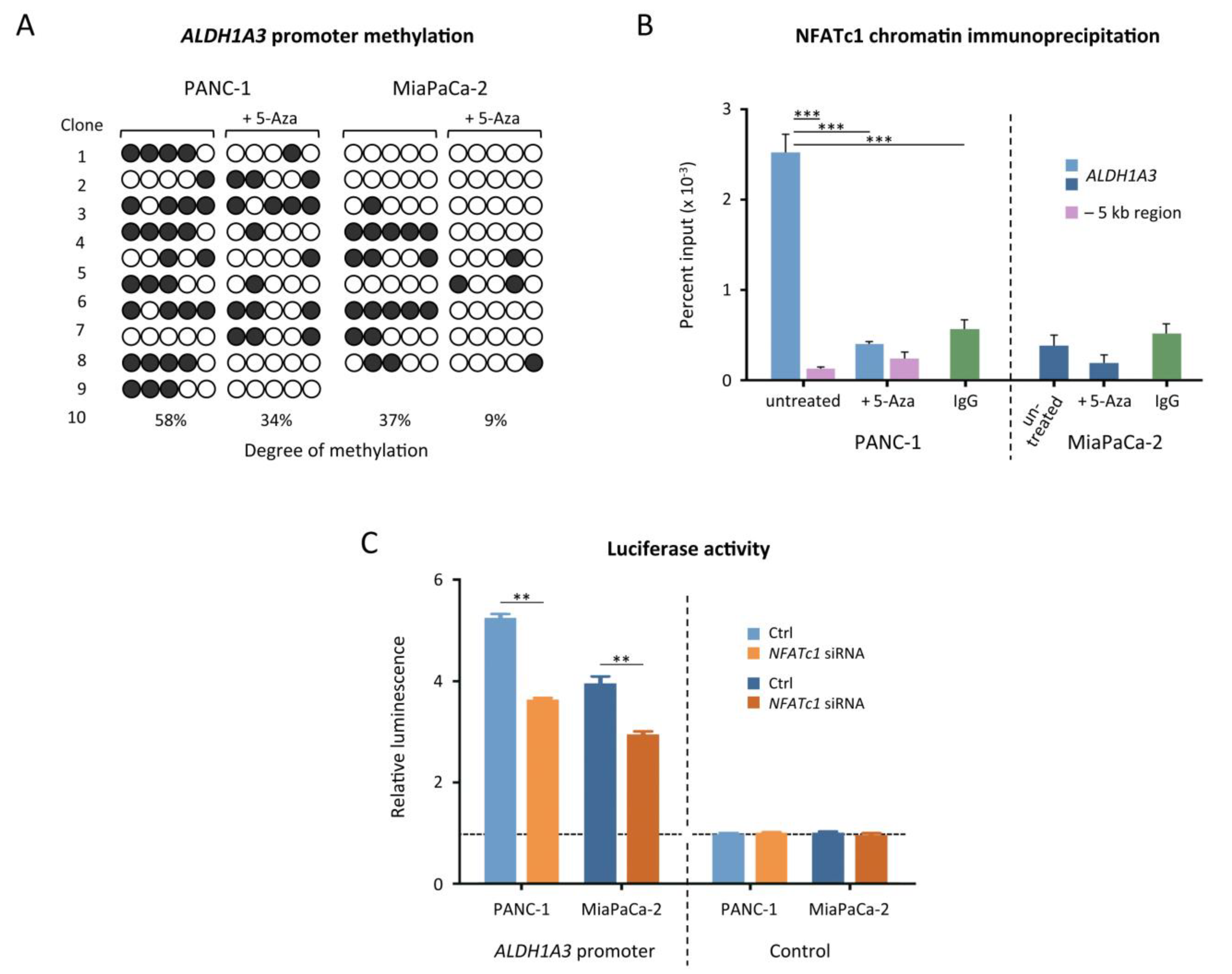 Cancers 13 04569 g005