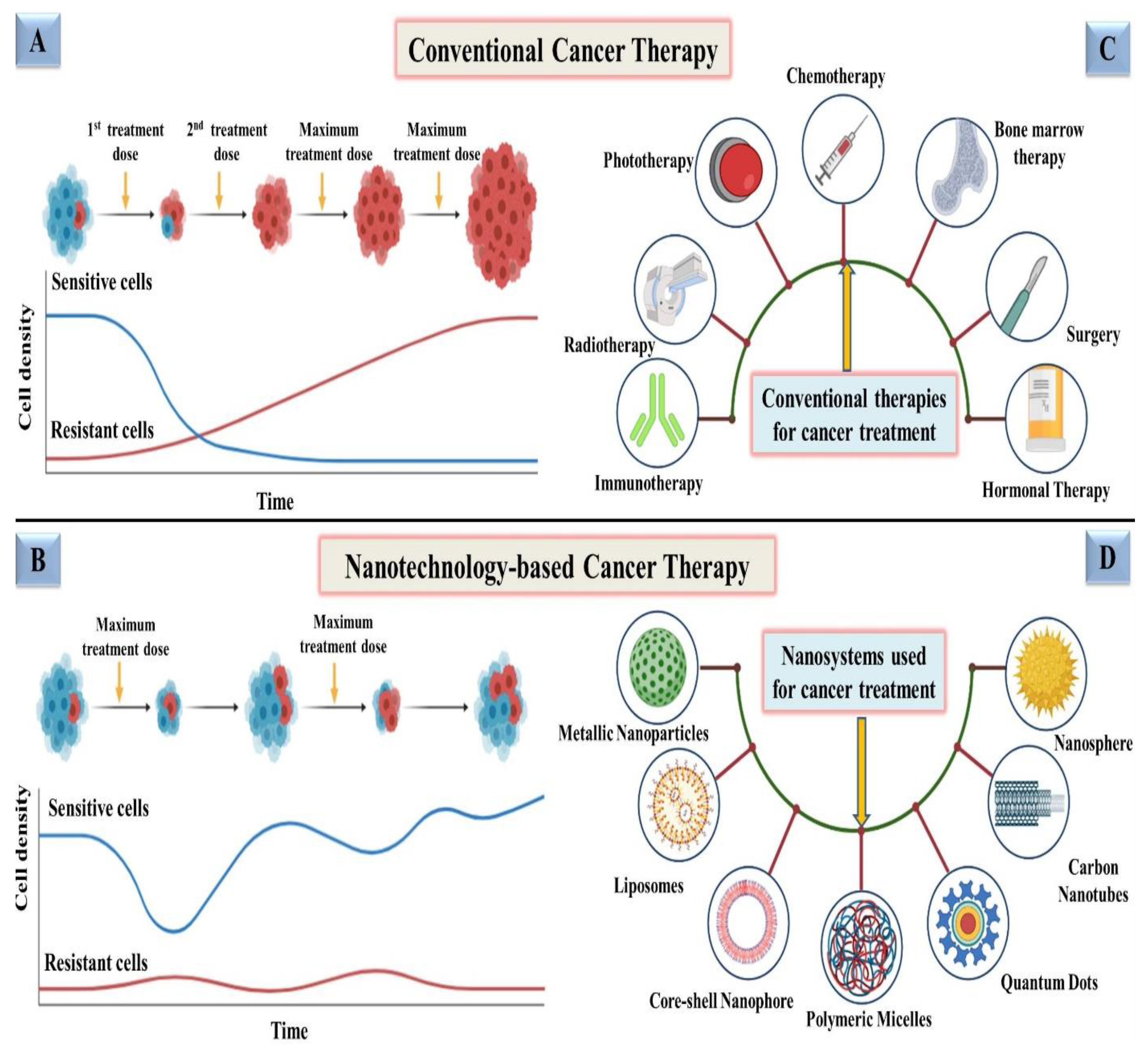 Cancers 13 04570 g002
