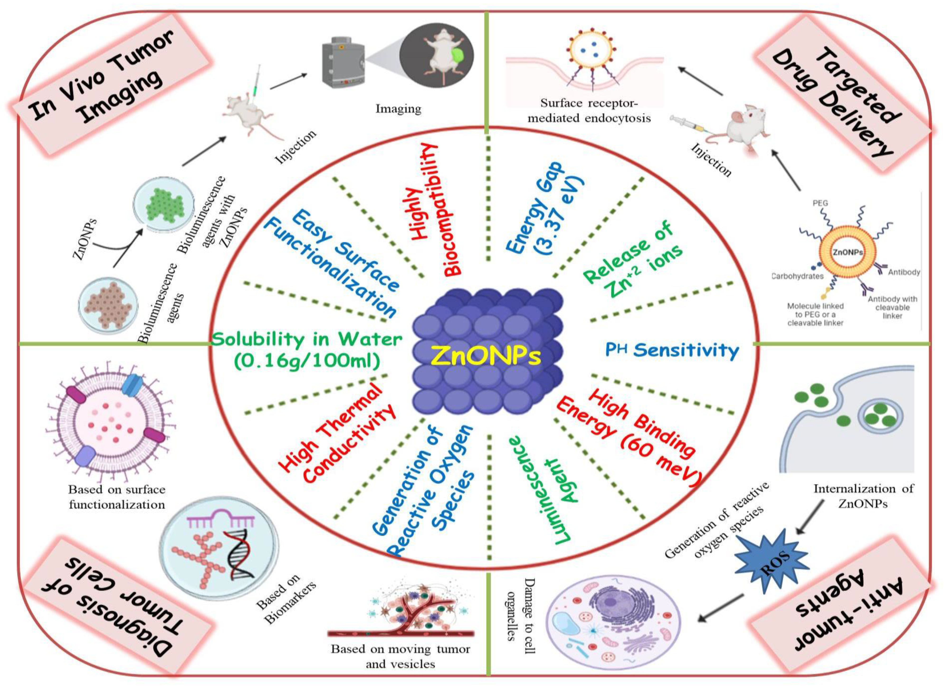 Cancers 13 04570 g003