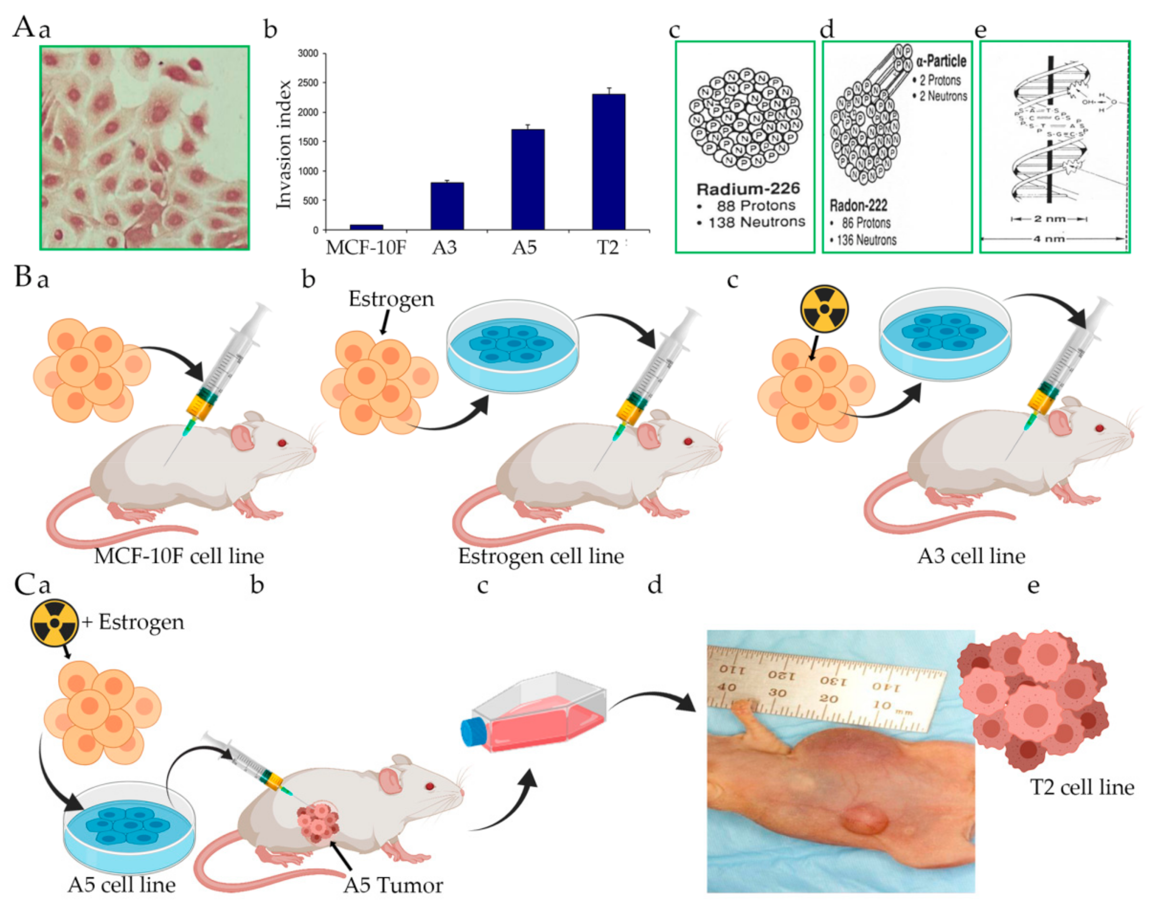 Cancers 13 04571 g001