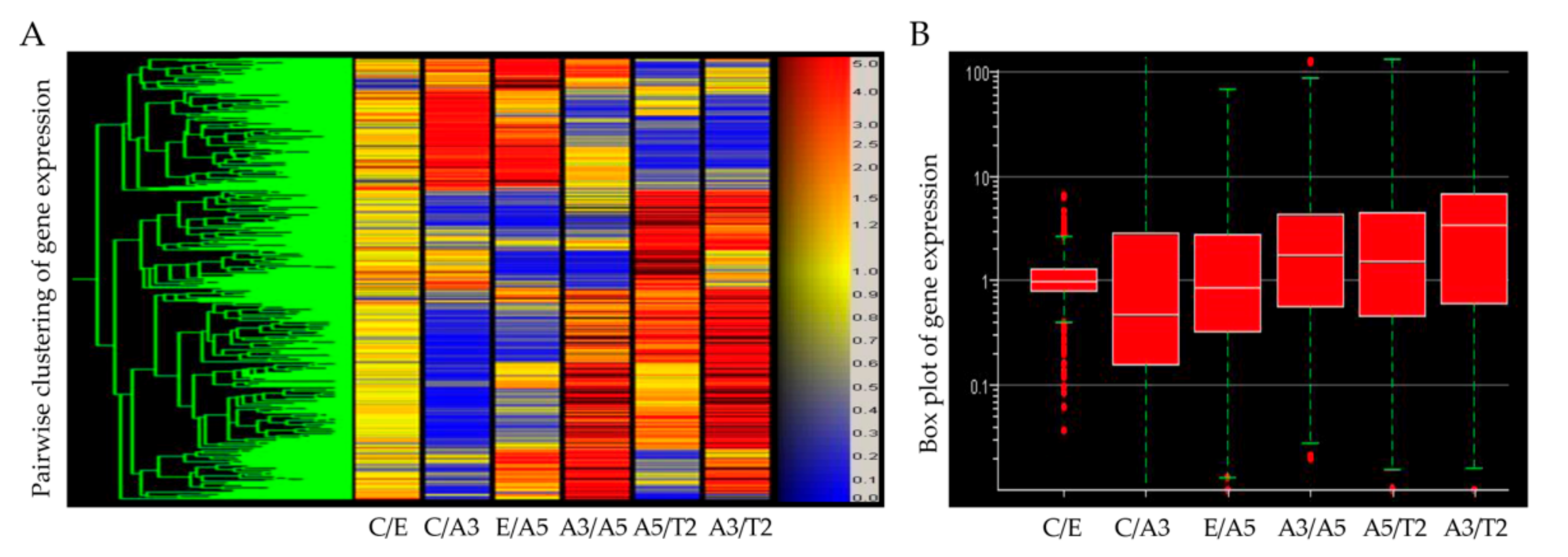 Cancers 13 04571 g002
