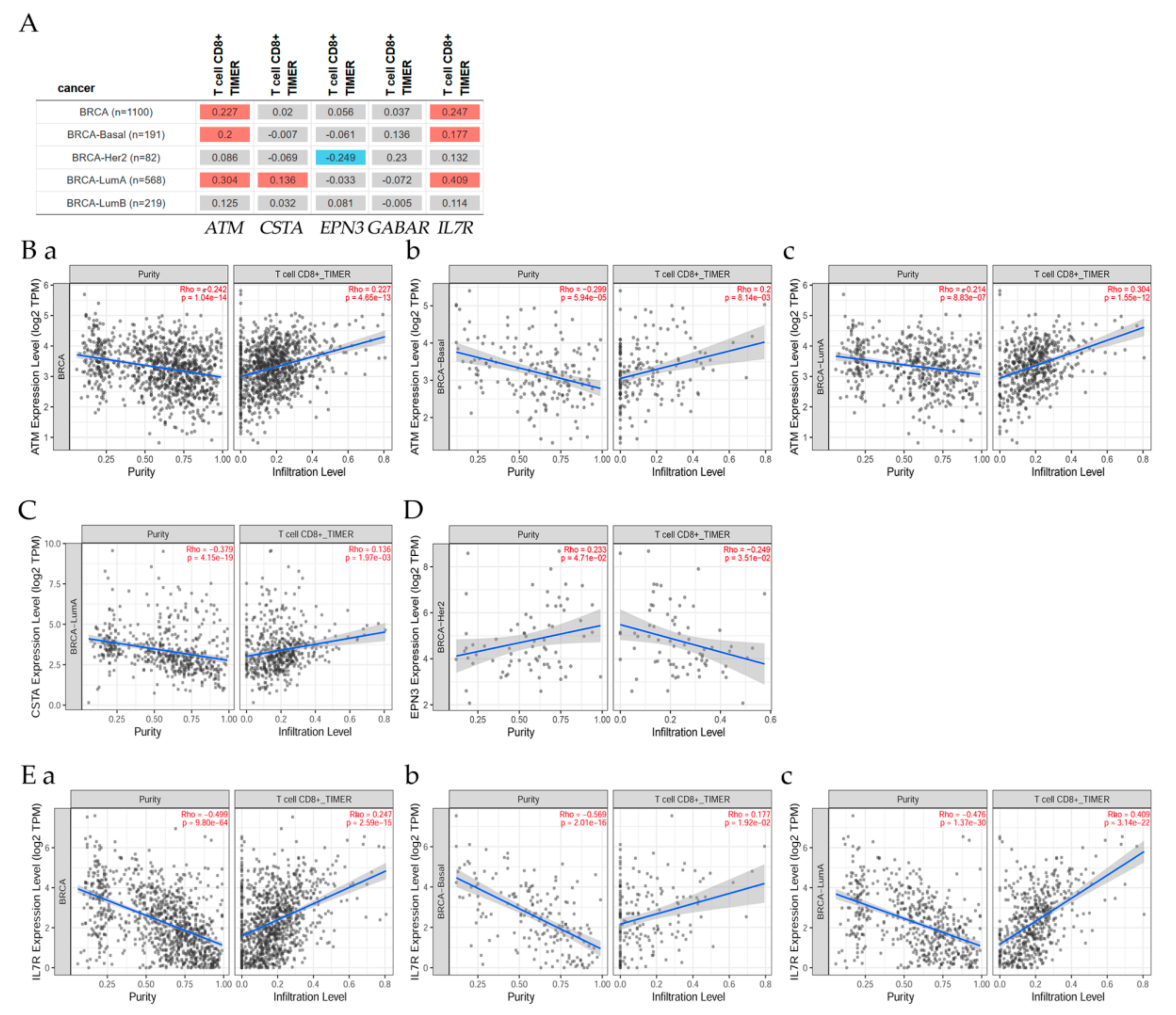 Cancers 13 04571 g008