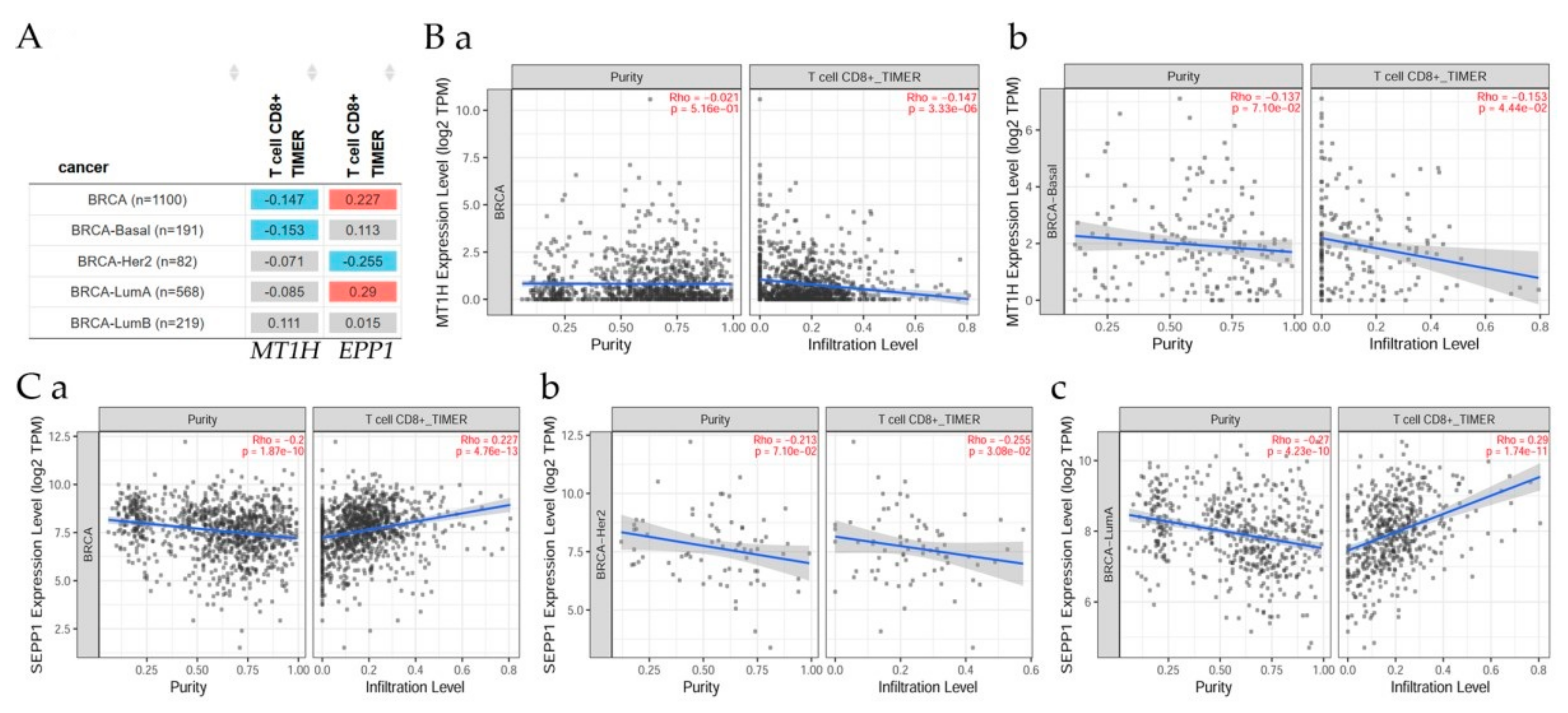 Cancers 13 04571 g009