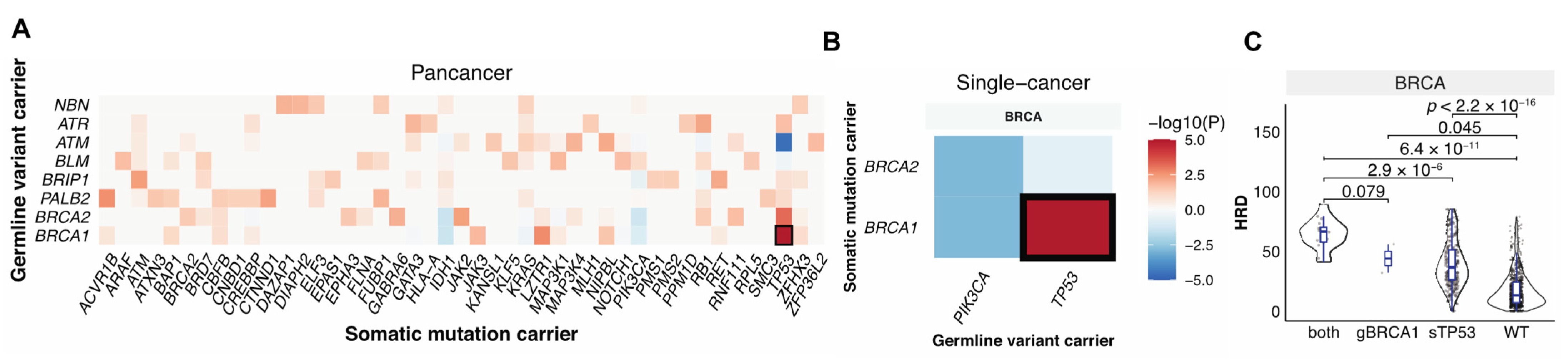 Cancers 13 04572 g003