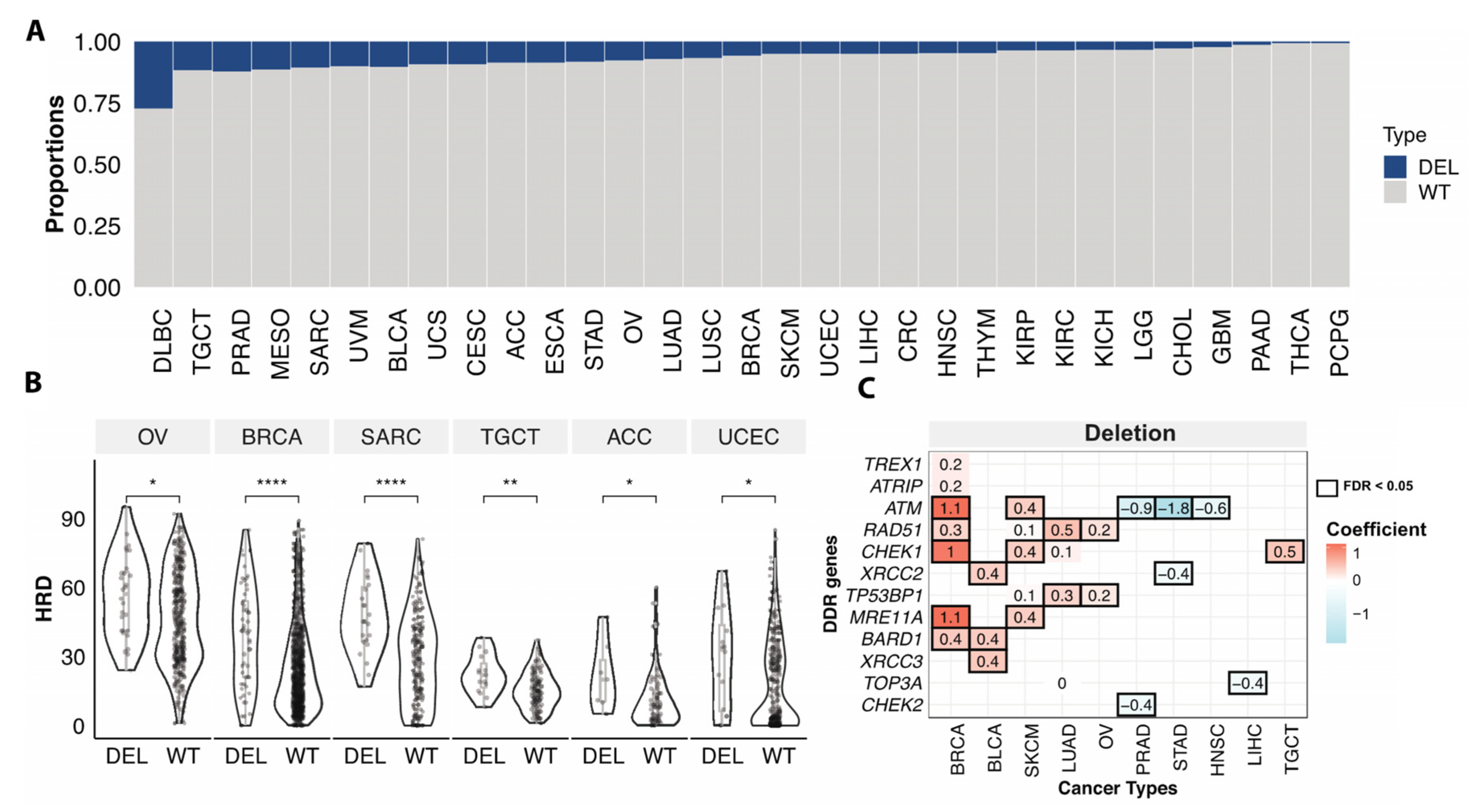 Cancers 13 04572 g004