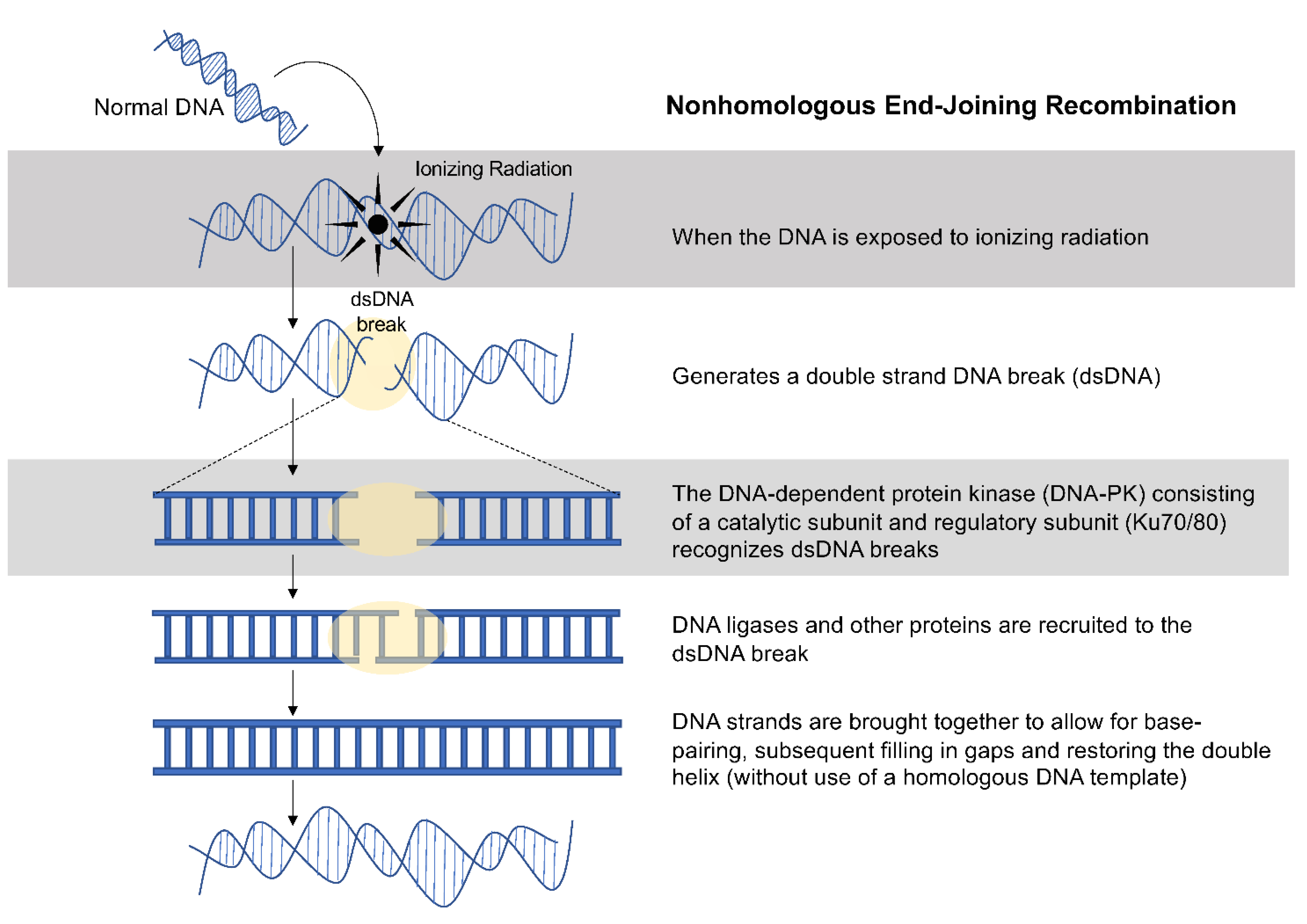 Cancers 13 04575 g002