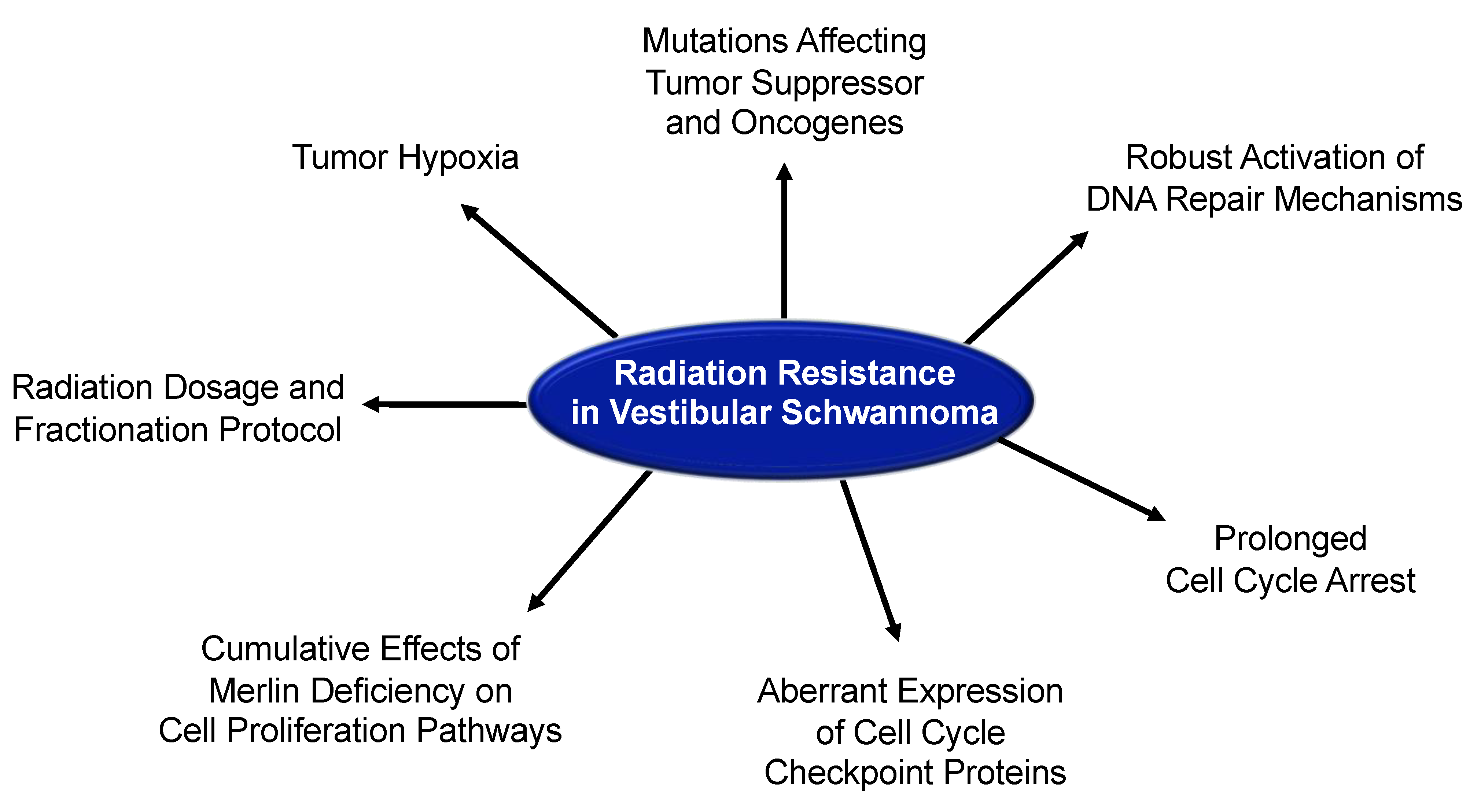 Cancers 13 04575 g006