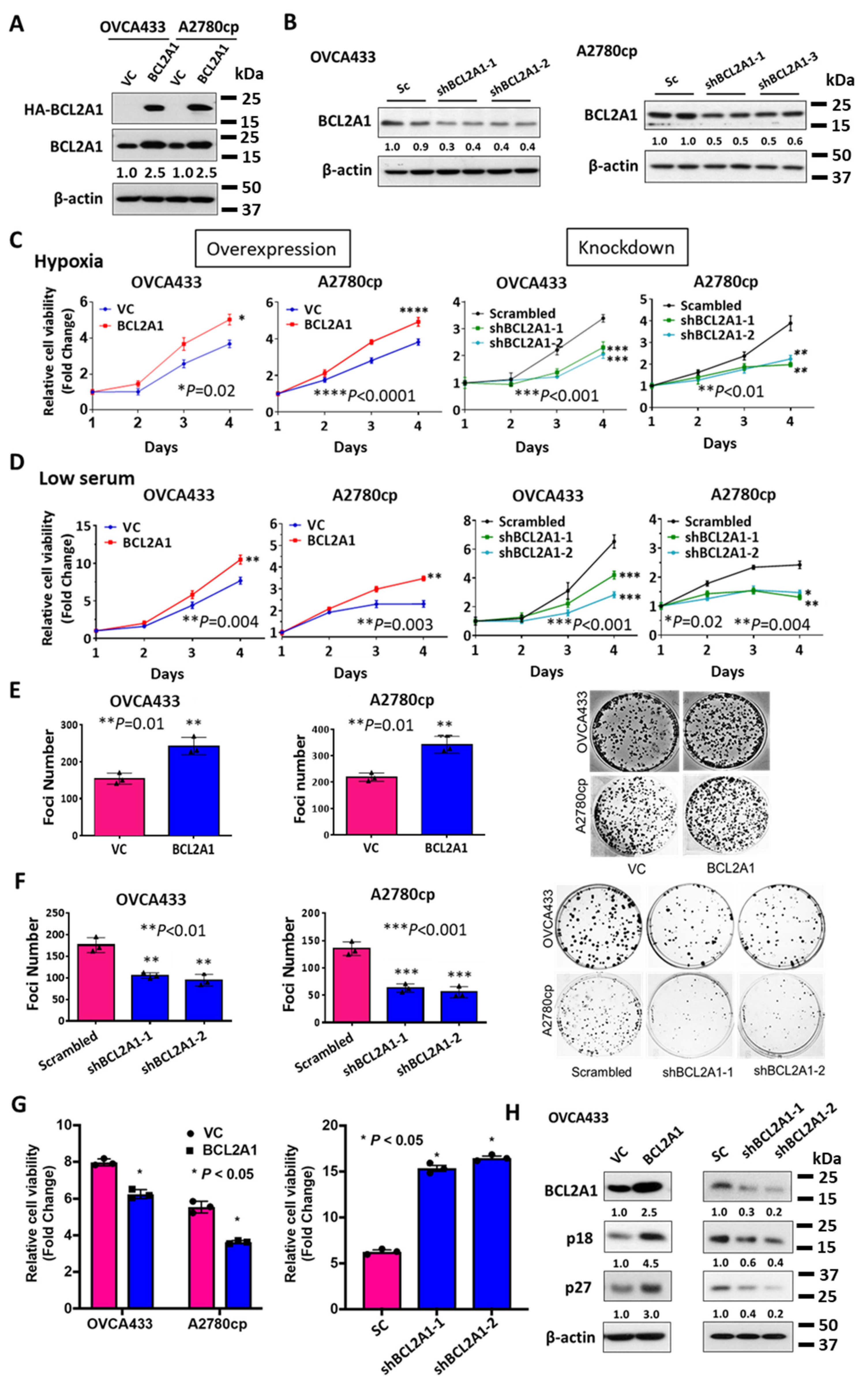 Cancers 13 04577 g004