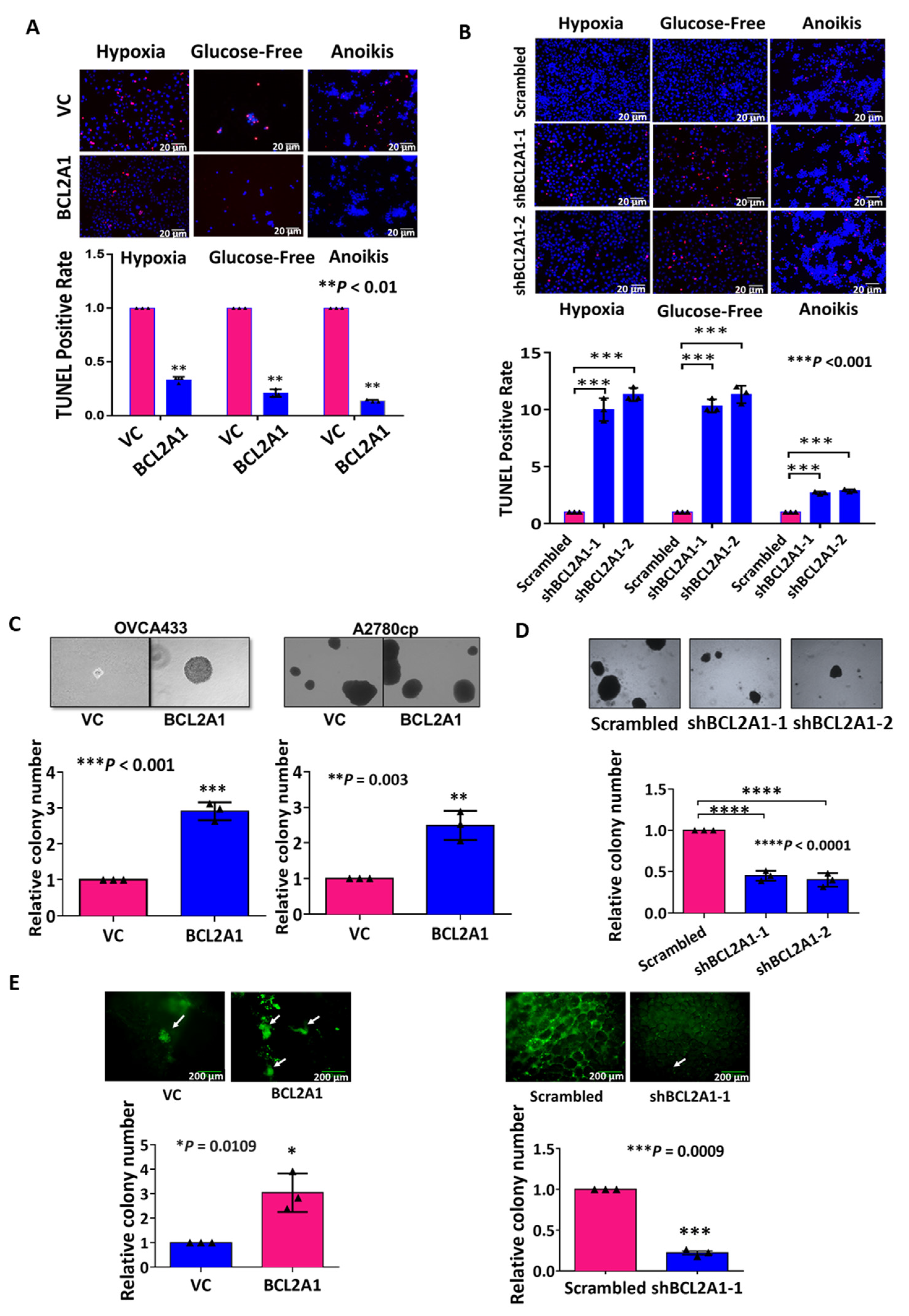 Cancers 13 04577 g005
