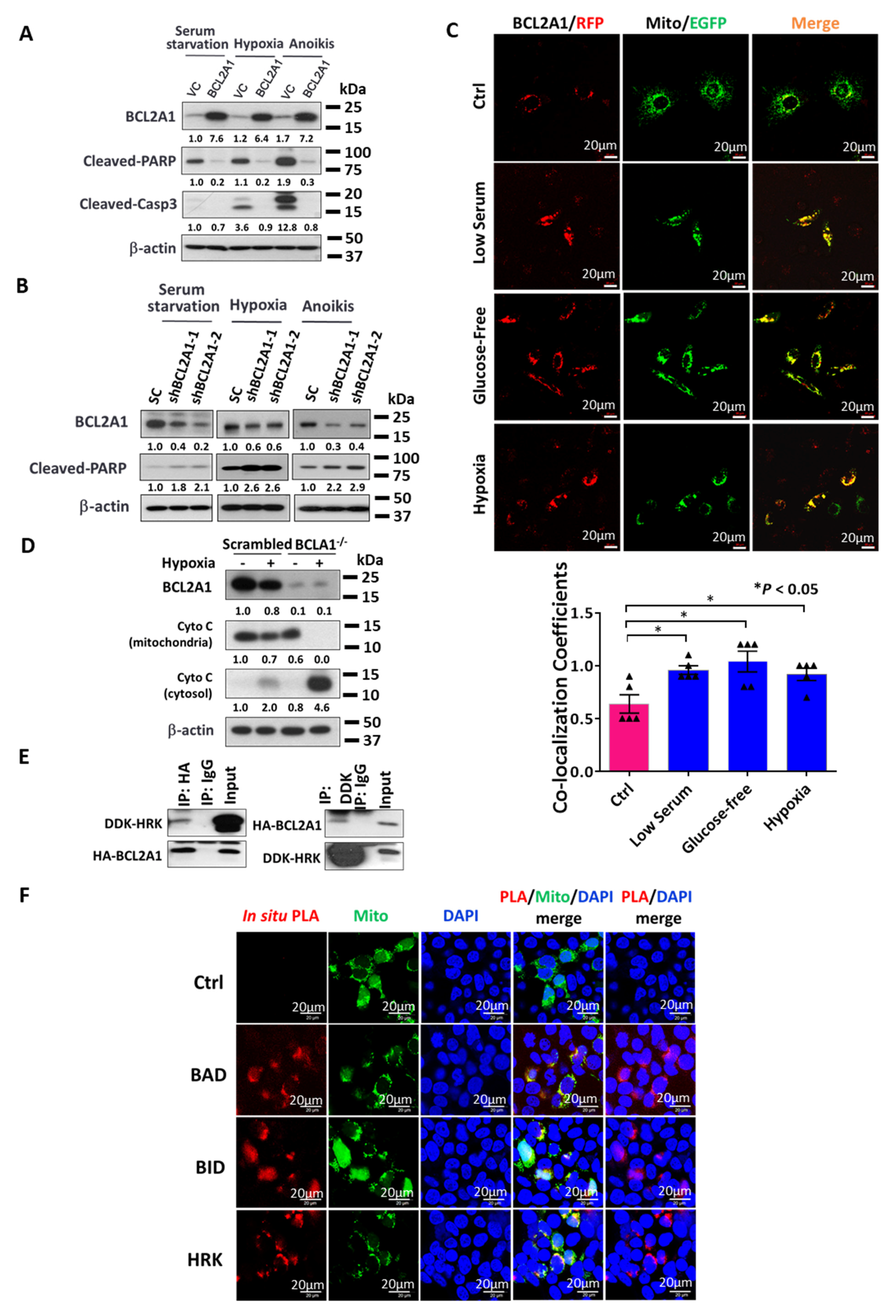 Cancers 13 04577 g006