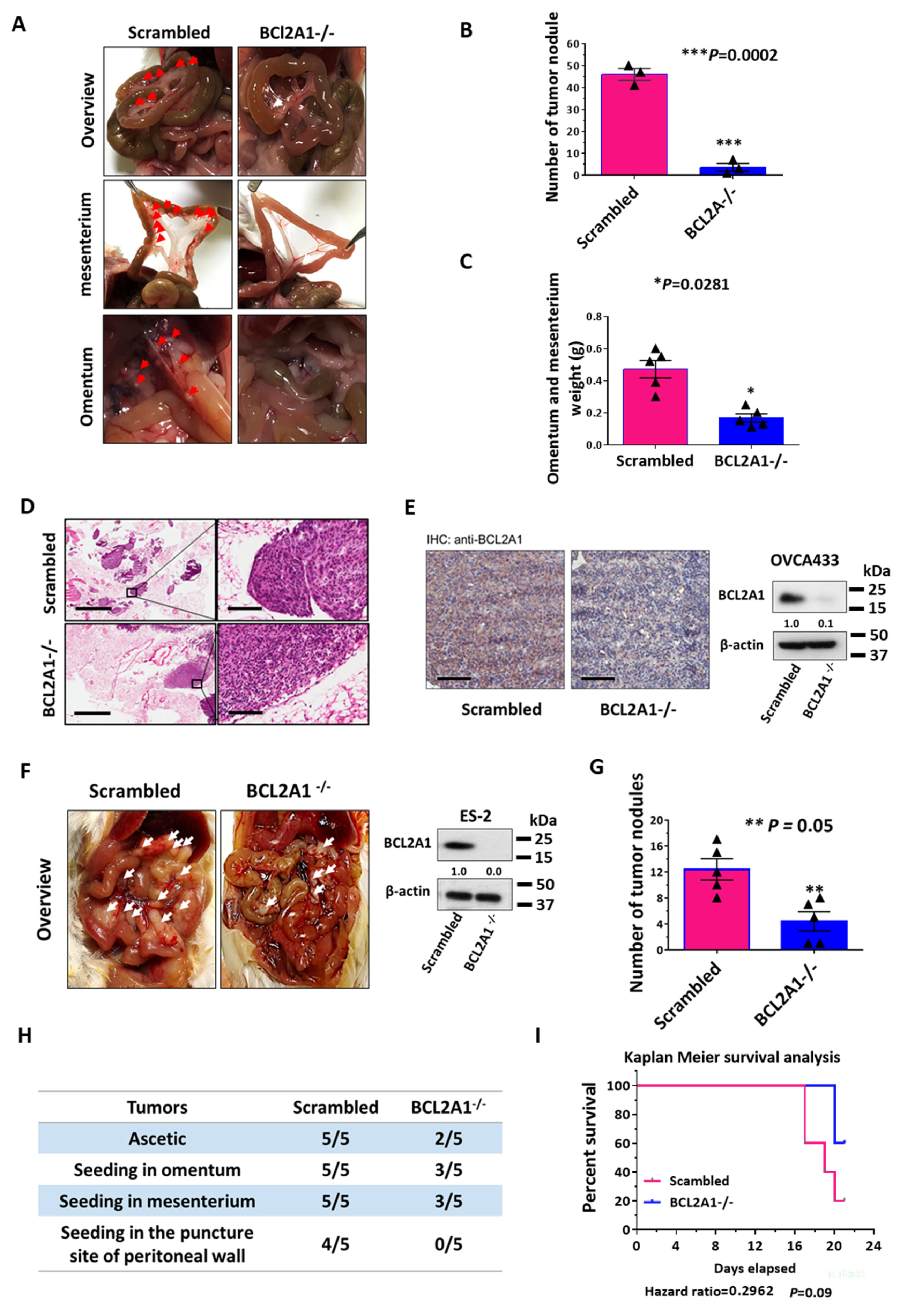 Cancers 13 04577 g007
