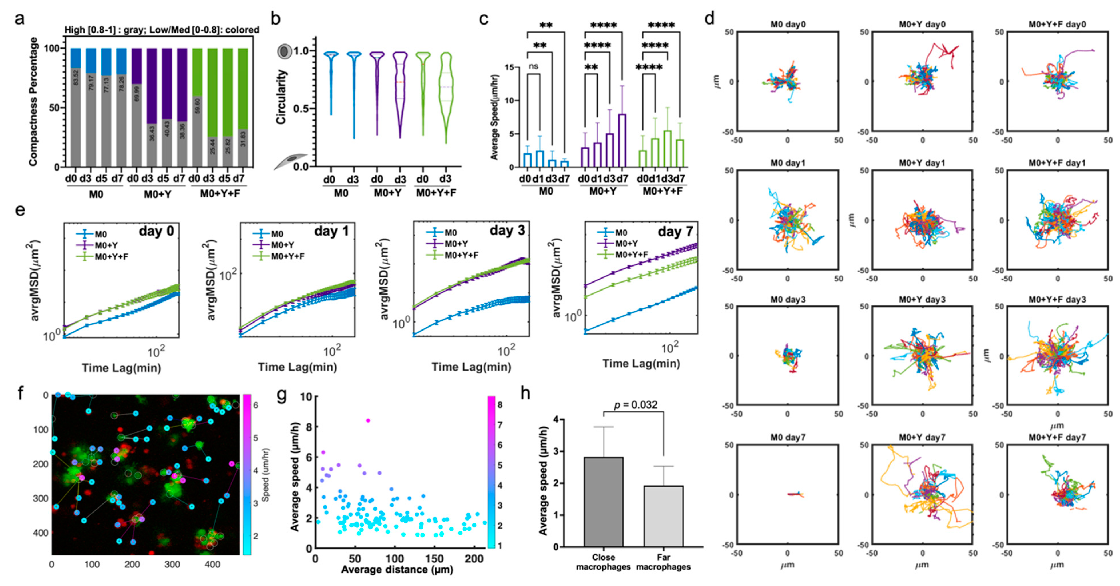 Cancers 13 04579 g004