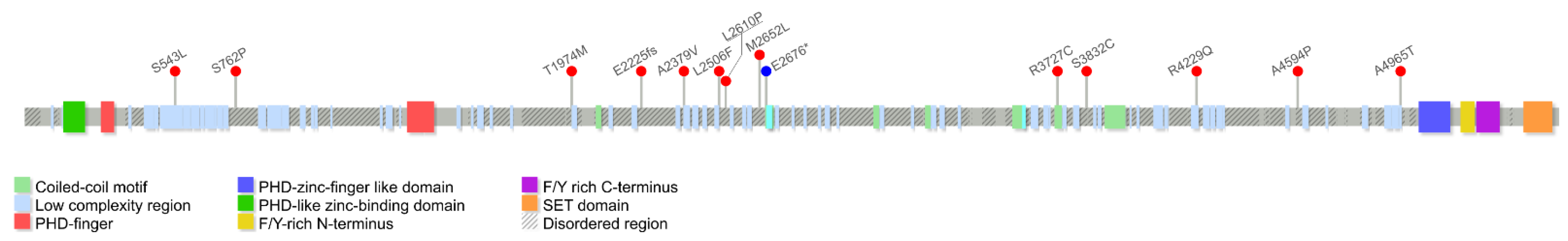 Cancers 13 04586 g004