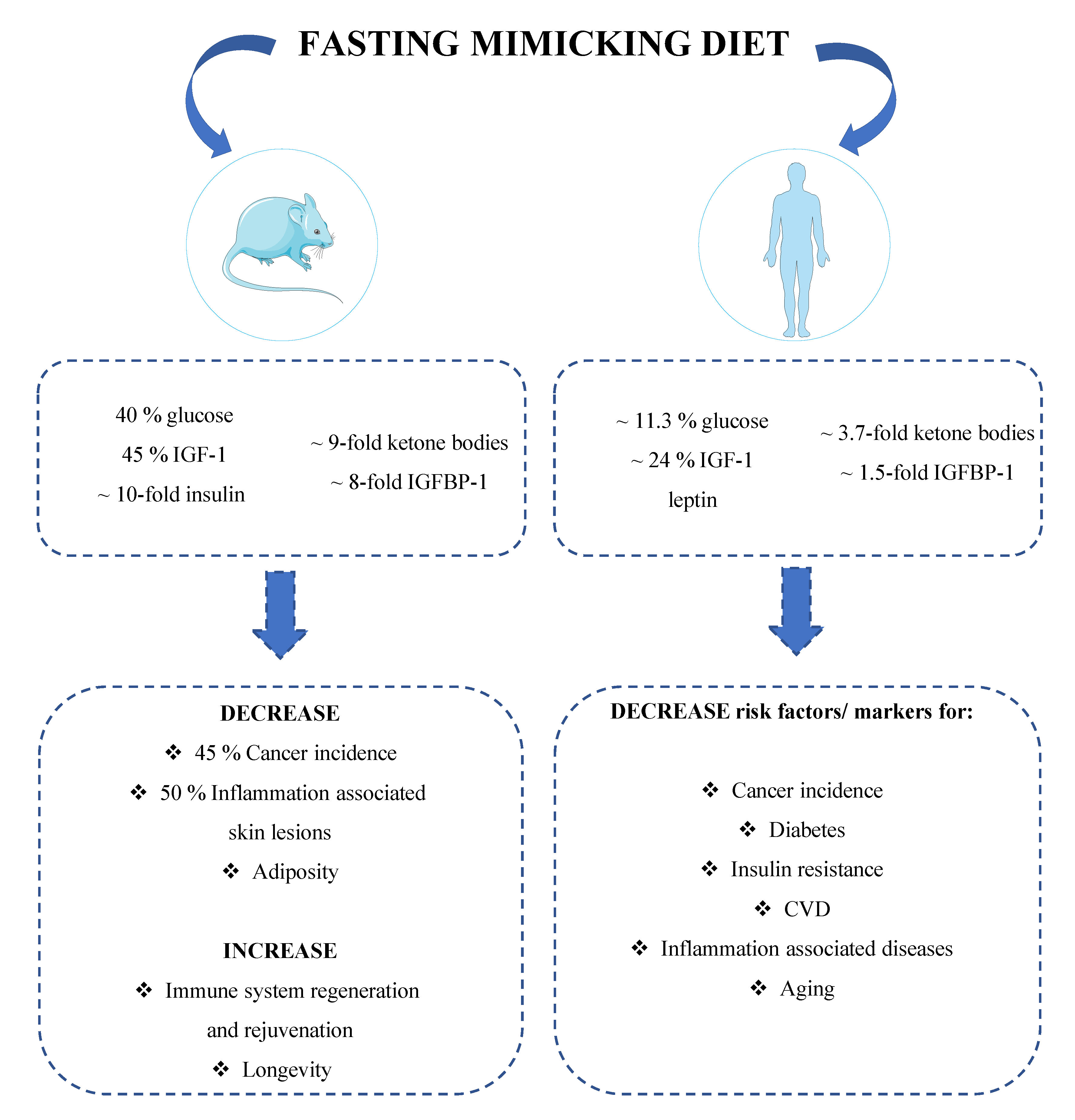 Cancers 13 04587 g003