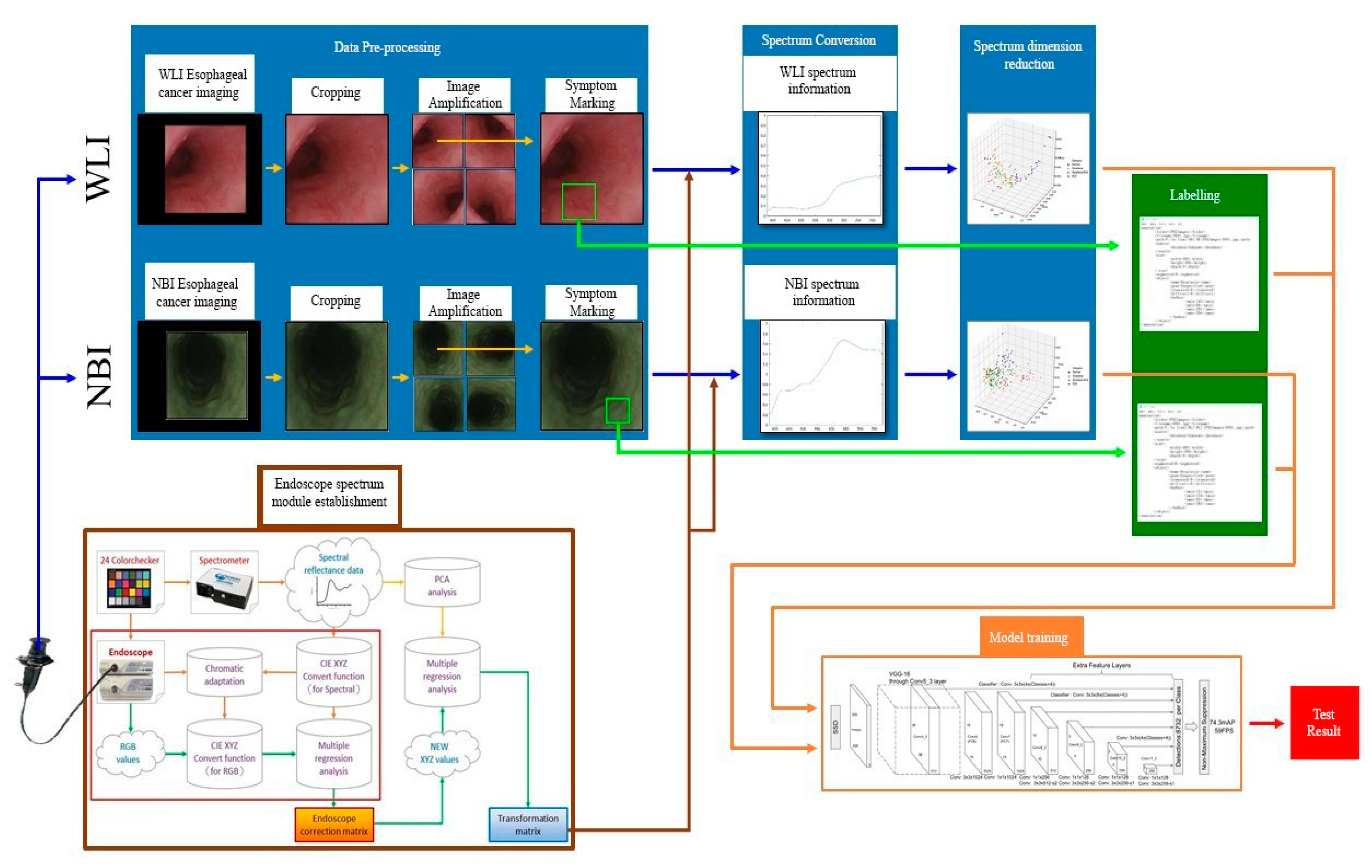 Cancers 13 04593 g002