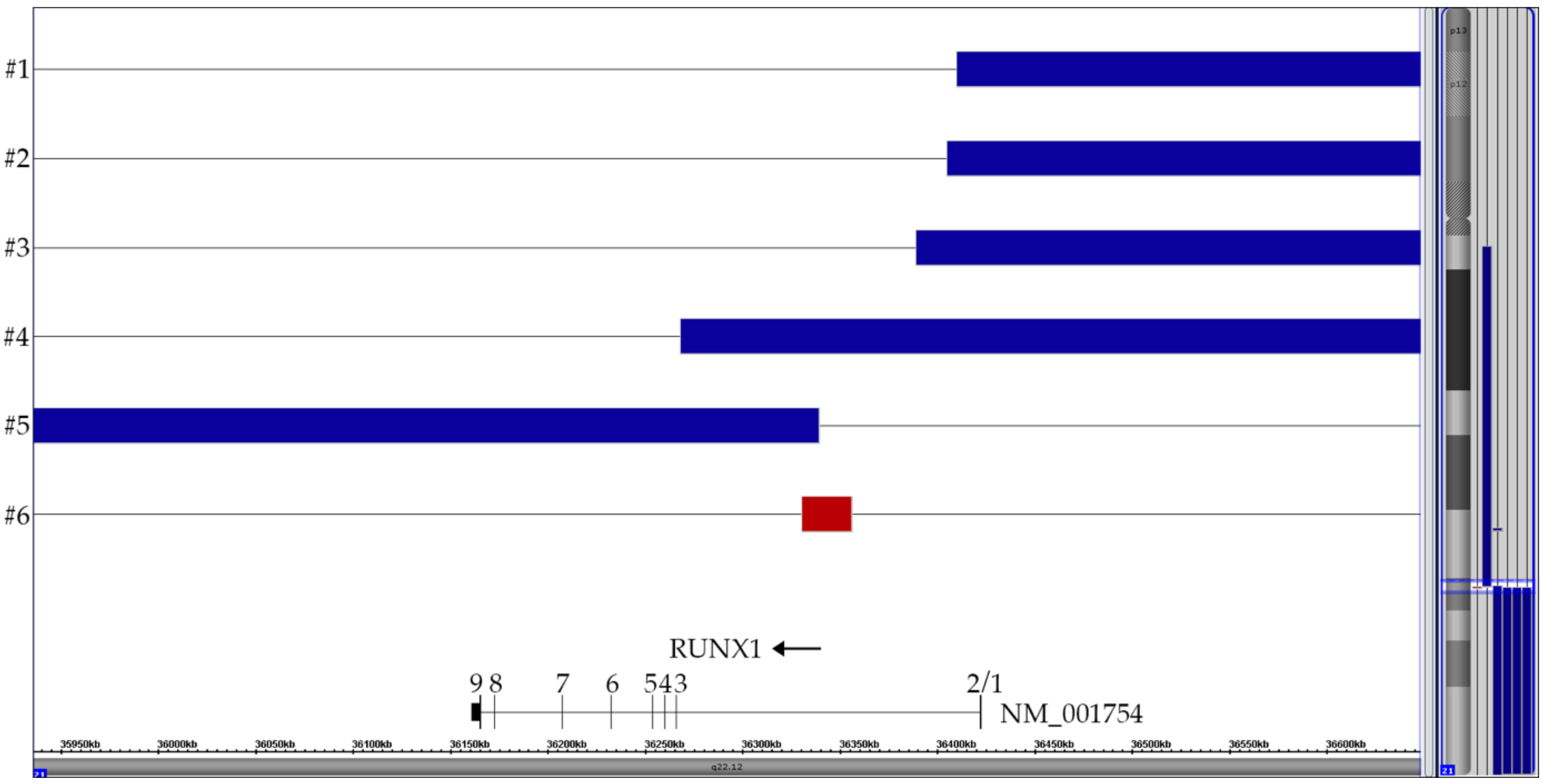 Cancers 13 04597 g002 Cancers 13 04597 g002