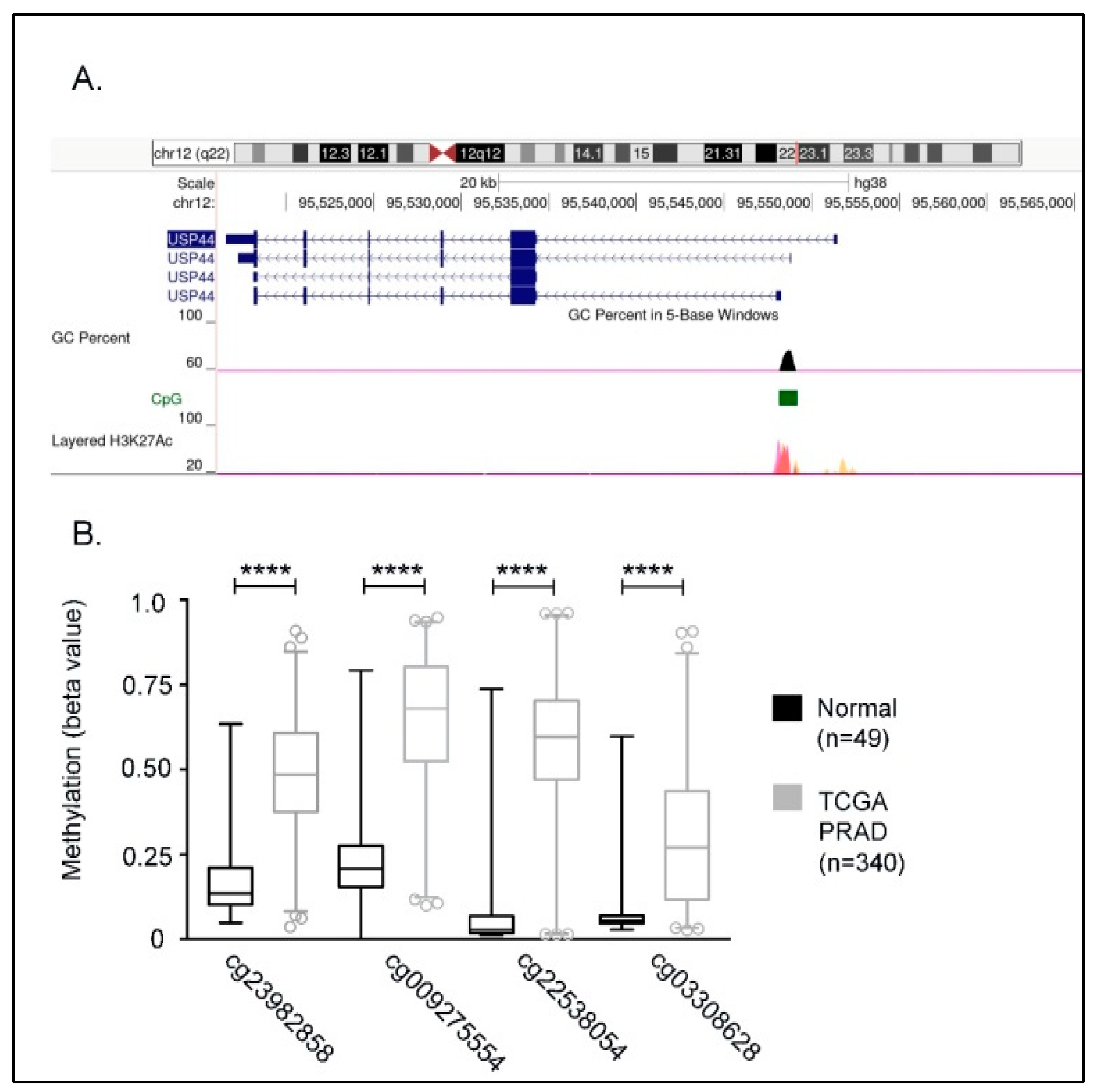 Cancers 13 04607 g001