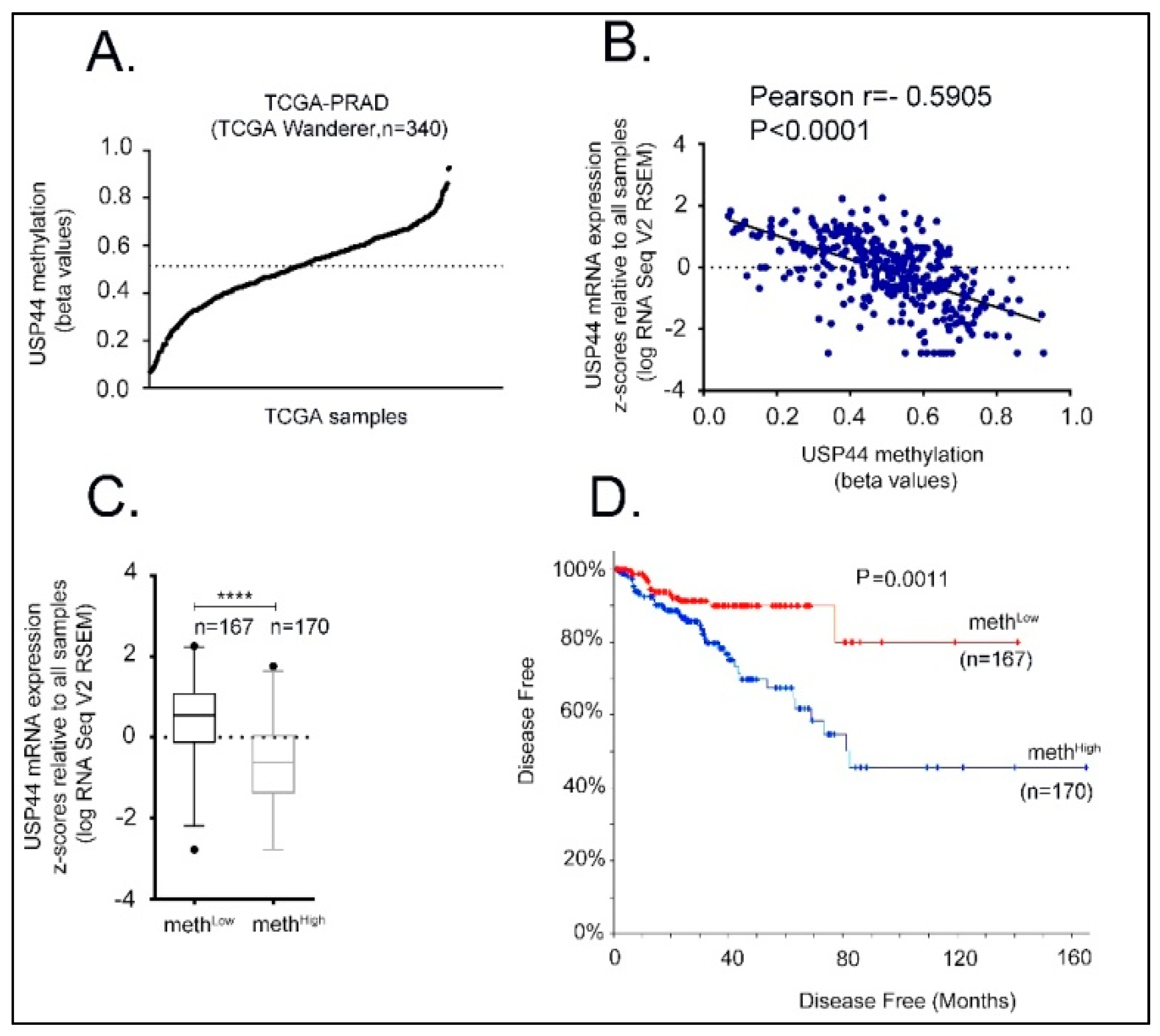 Cancers 13 04607 g002