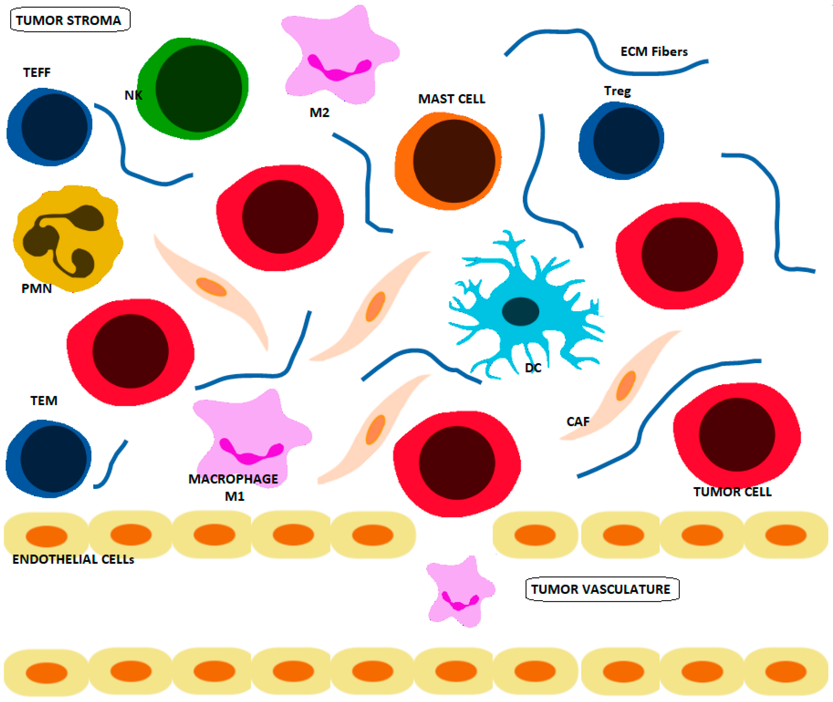 Cancers 13 04609 g001