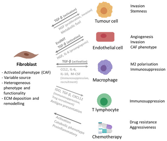 Cancers 13 04610 g001