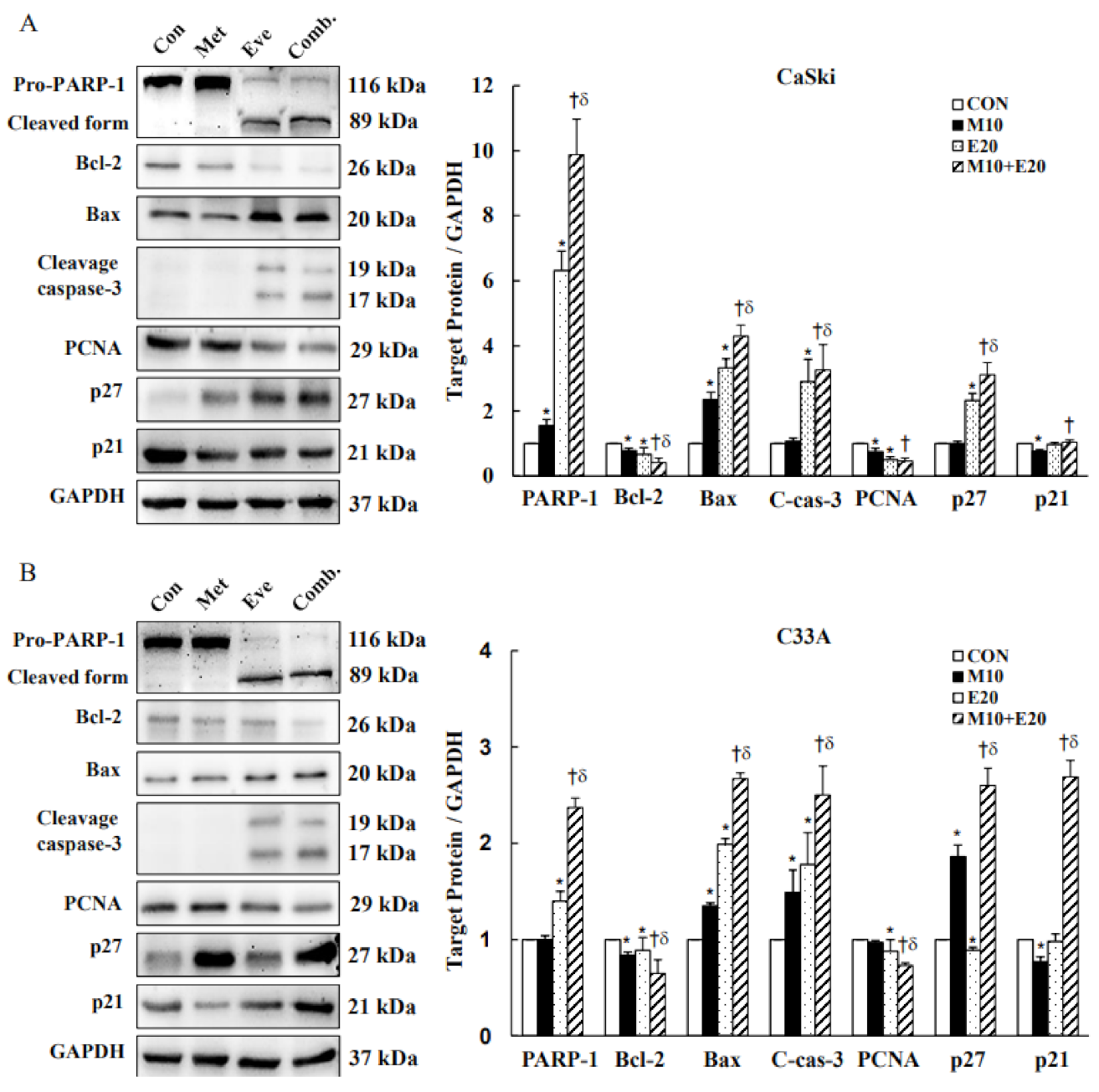 Cancers 13 04612 g005