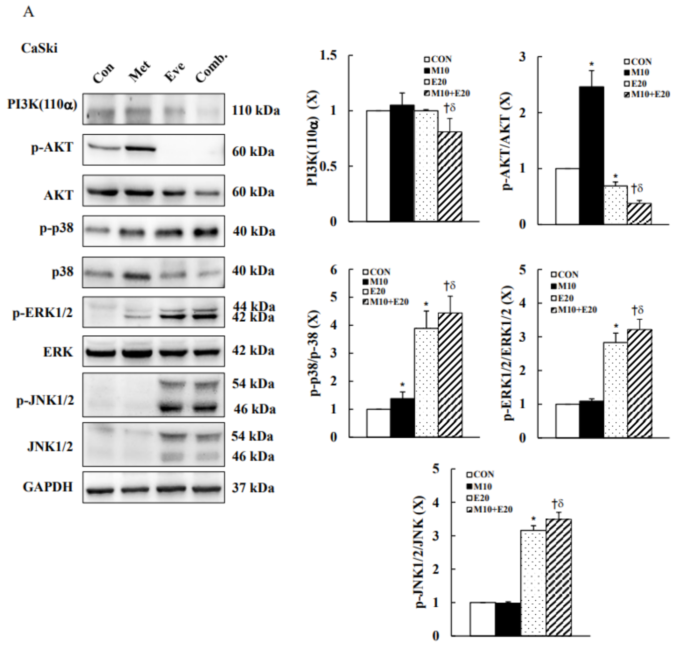 Cancers 13 04612 g006a
