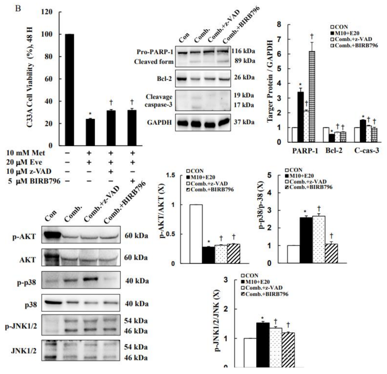 Cancers 13 04612 g007b