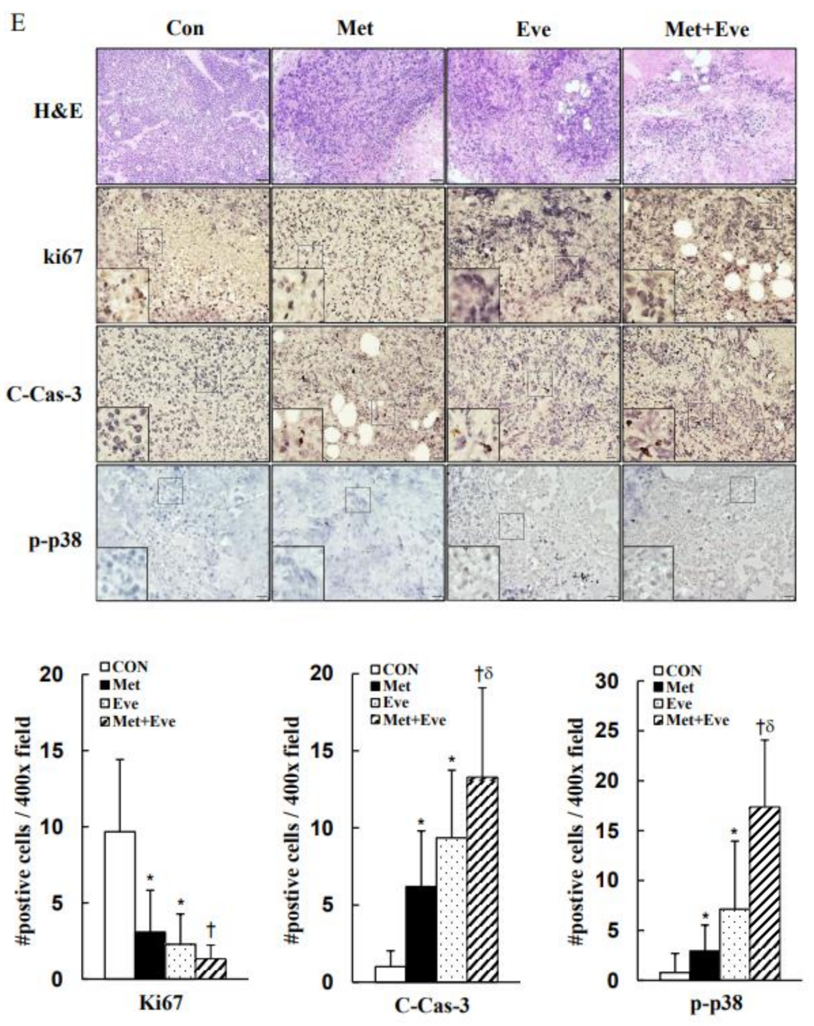 Cancers 13 04612 g008b