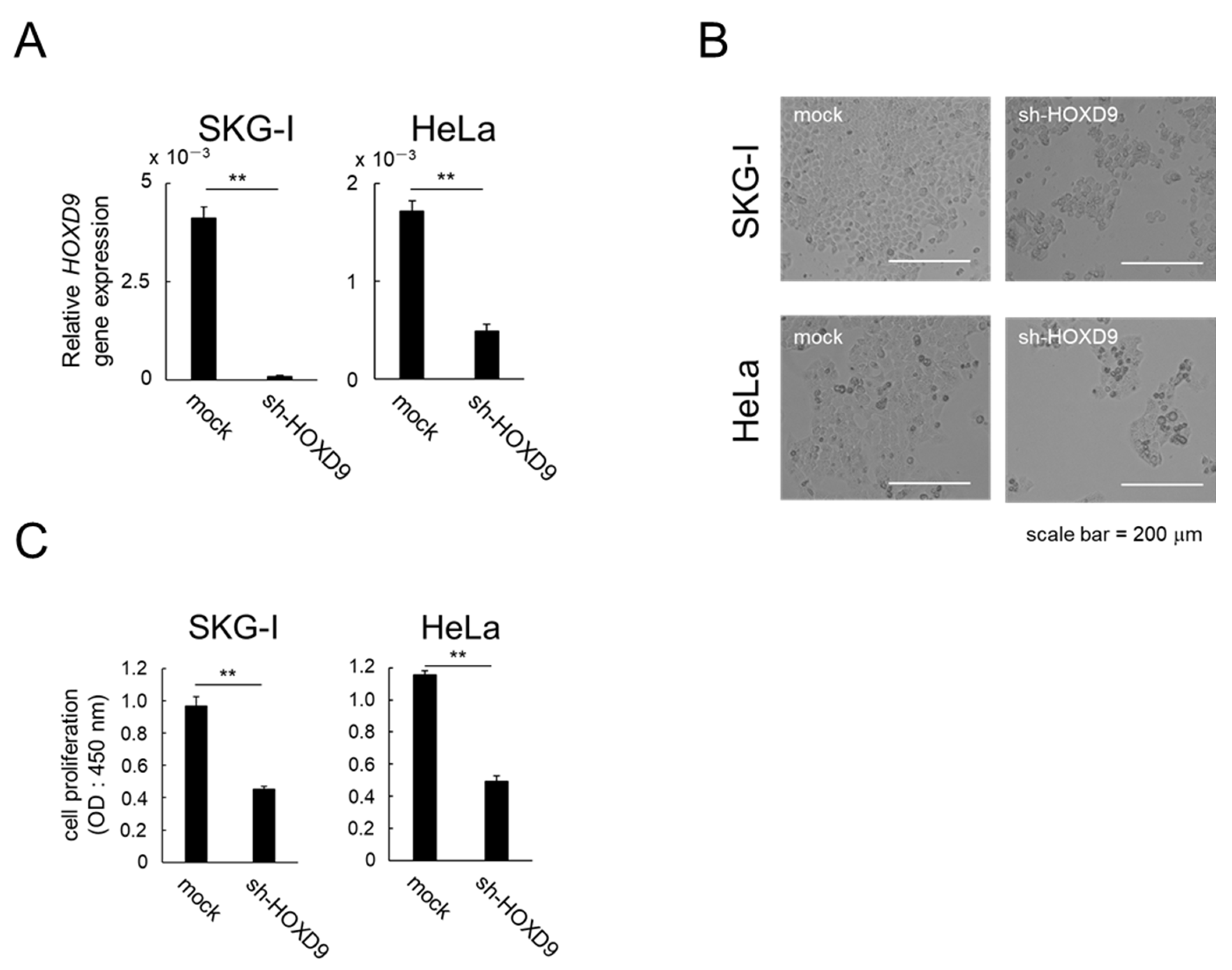 Cancers 13 04613 g001