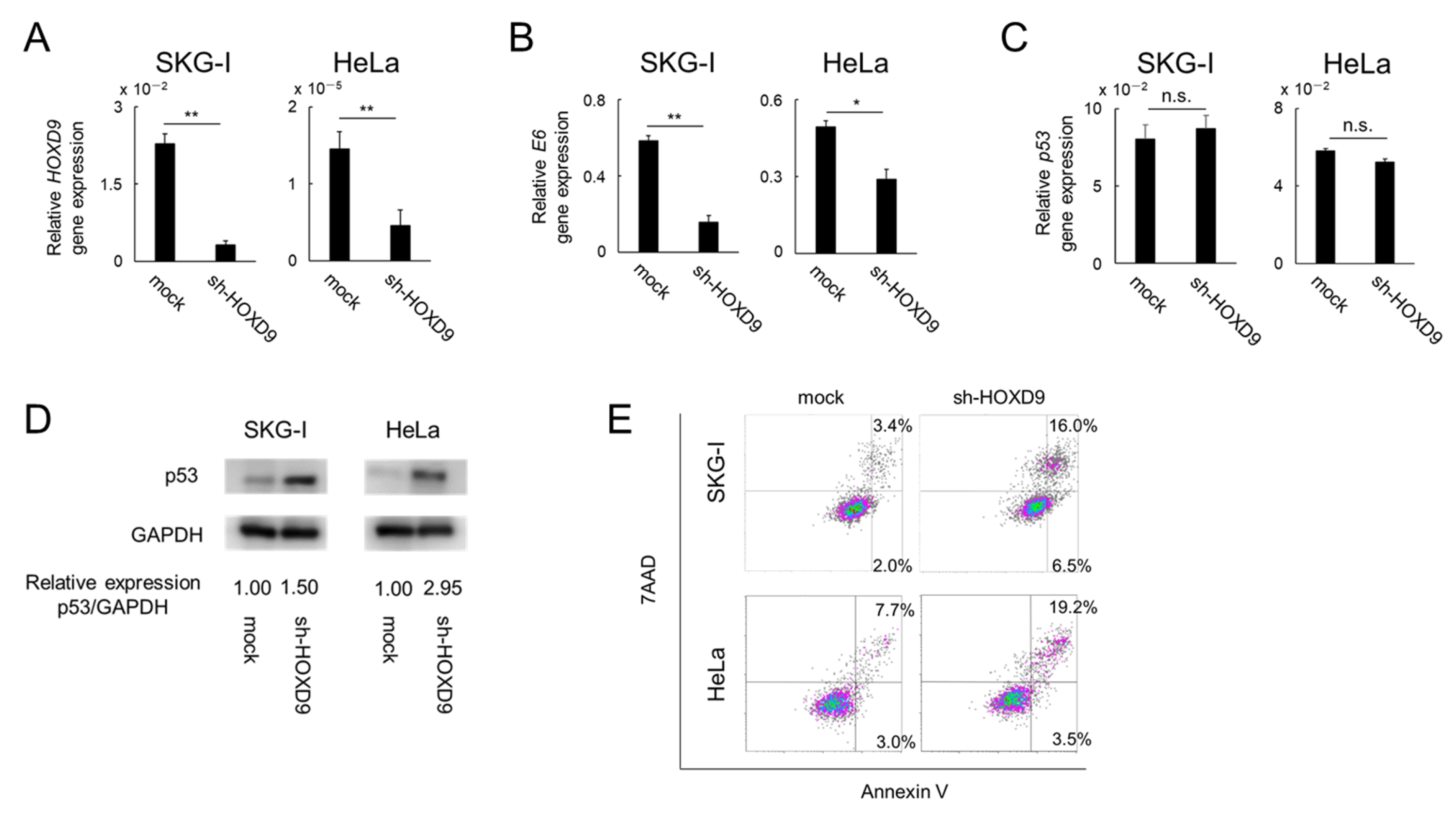 Cancers 13 04613 g002