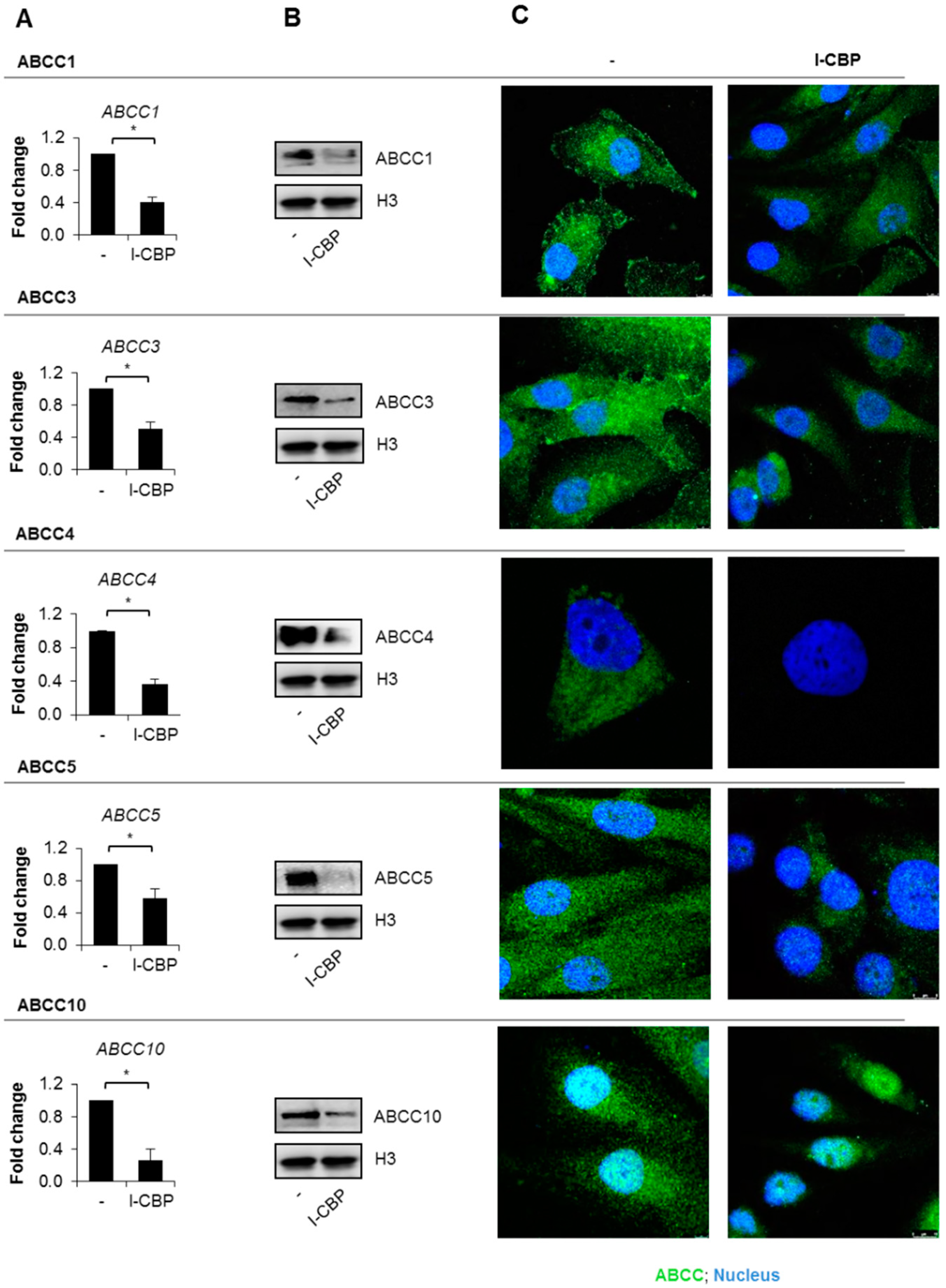 Cancers 13 04614 g003