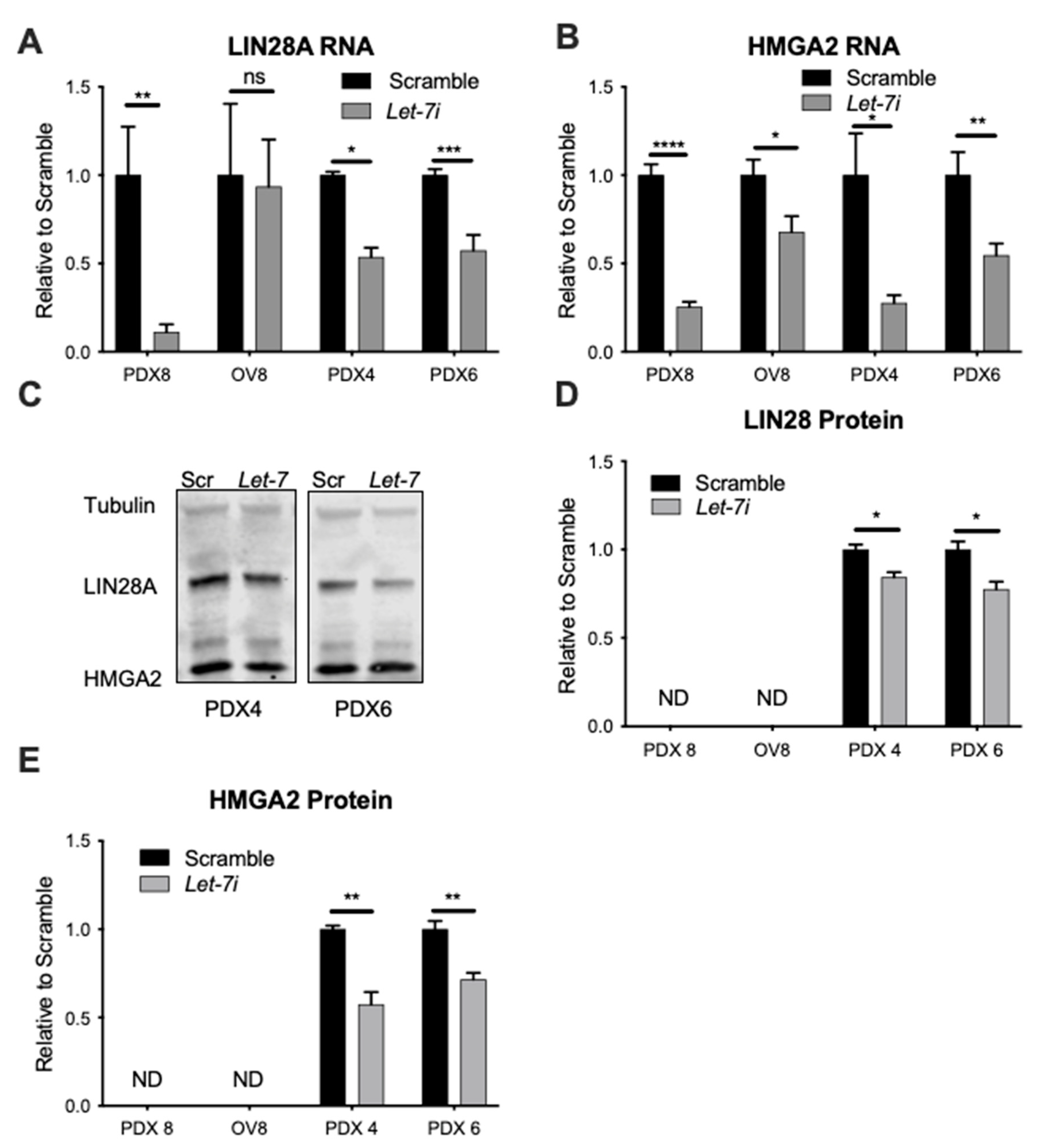 Cancers 13 04617 g001