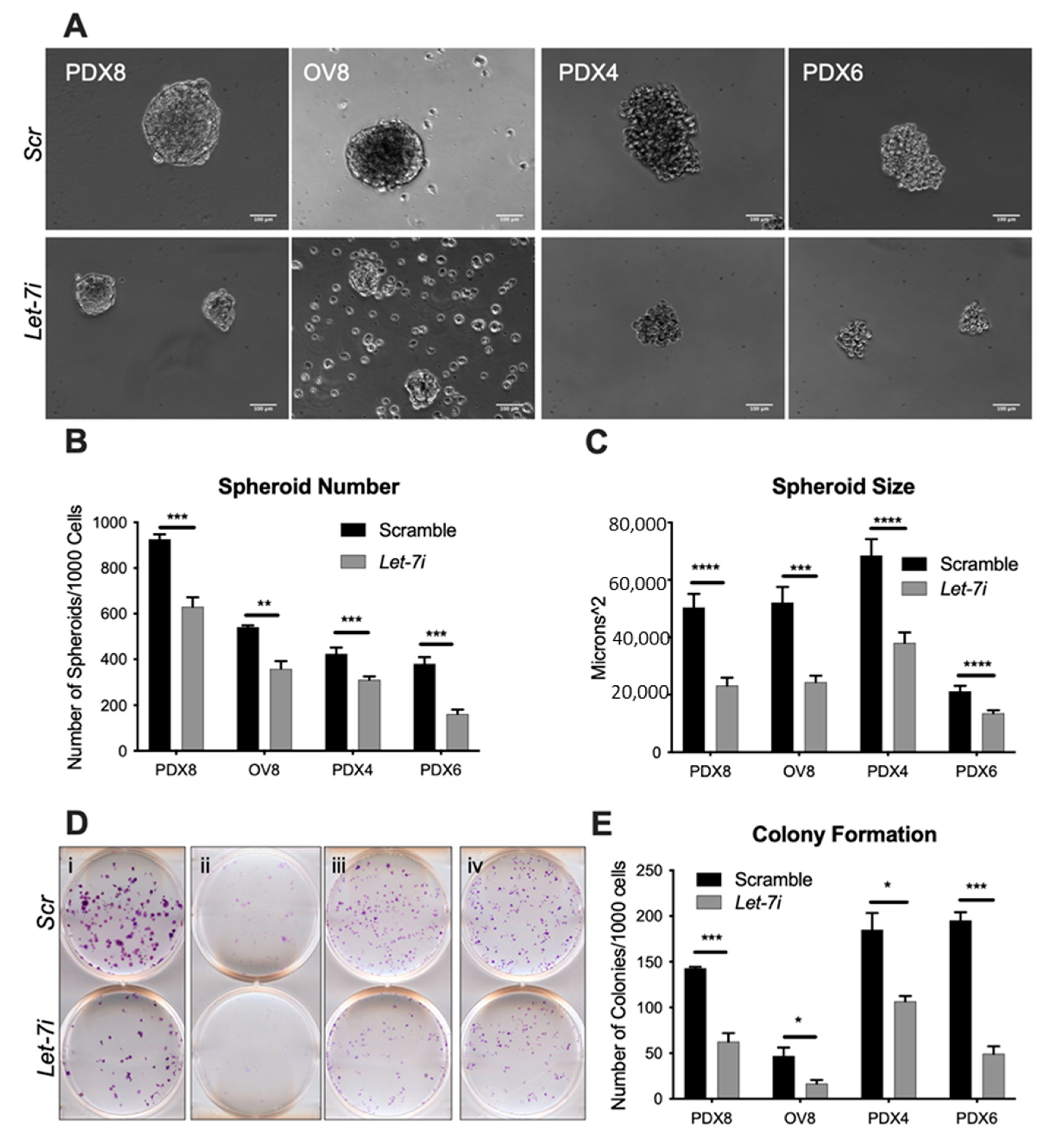 Cancers 13 04617 g002
