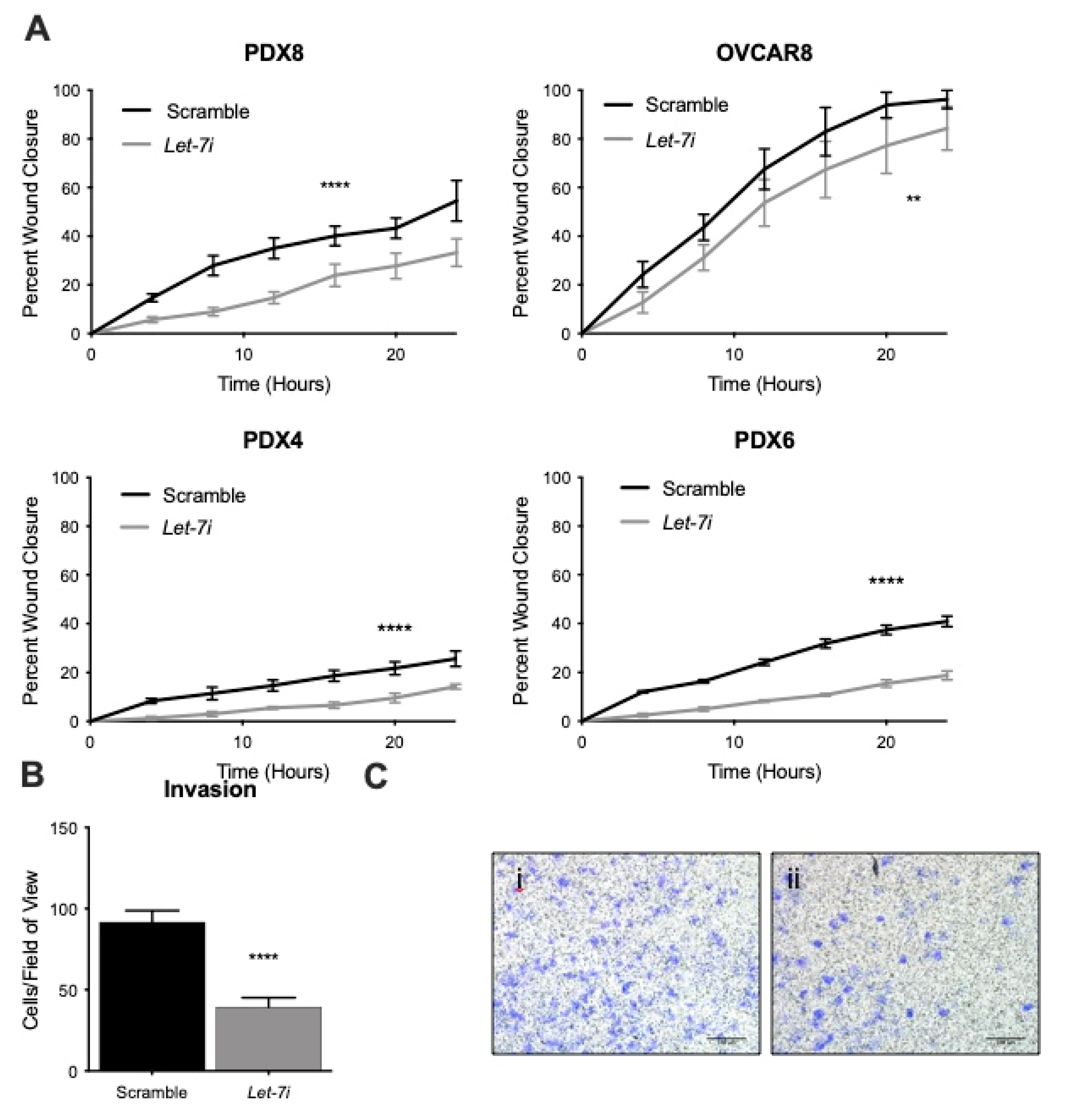 Cancers 13 04617 g003