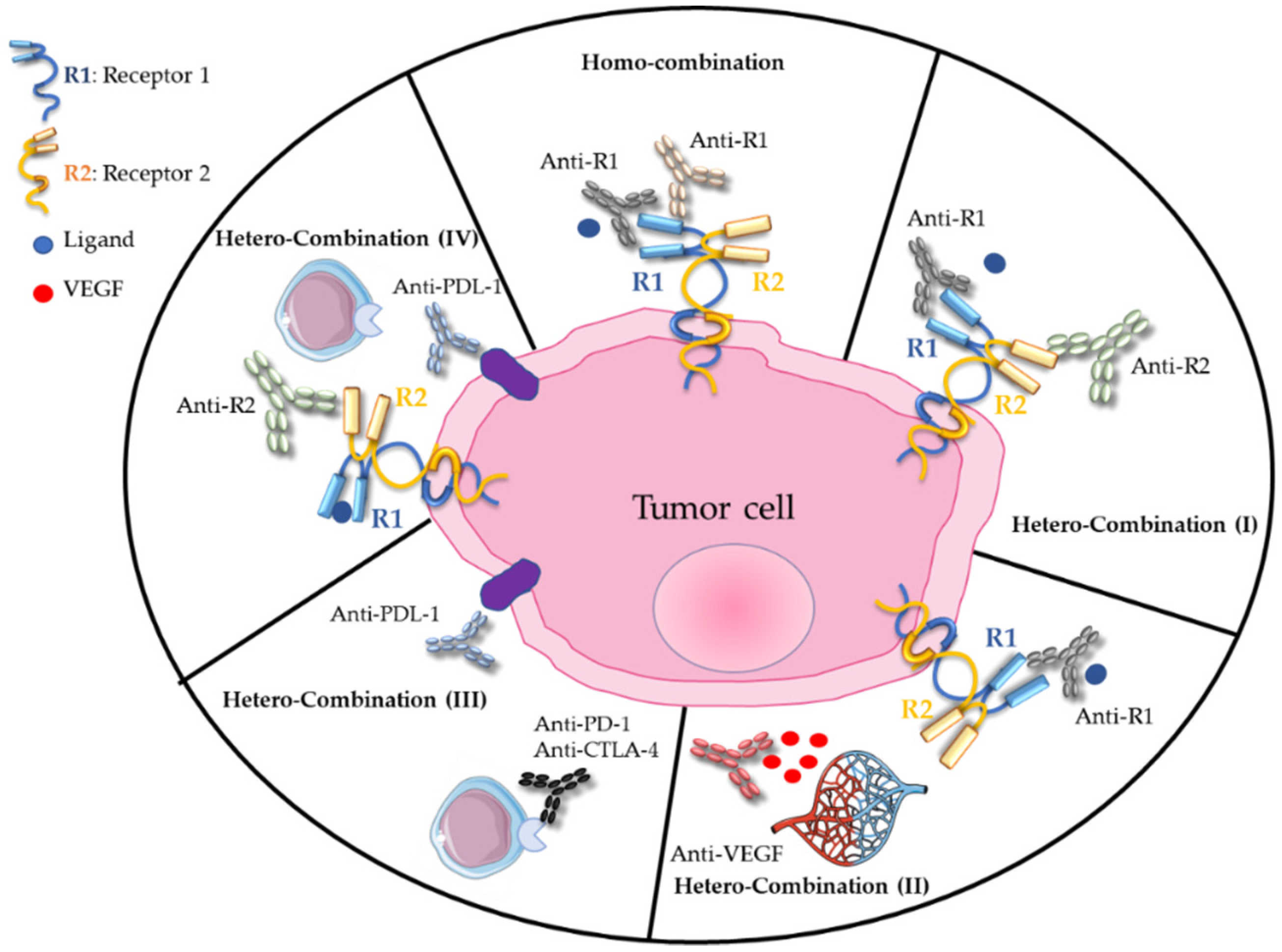 Cancers 13 04620 g001 Cancers 13 04620 g001