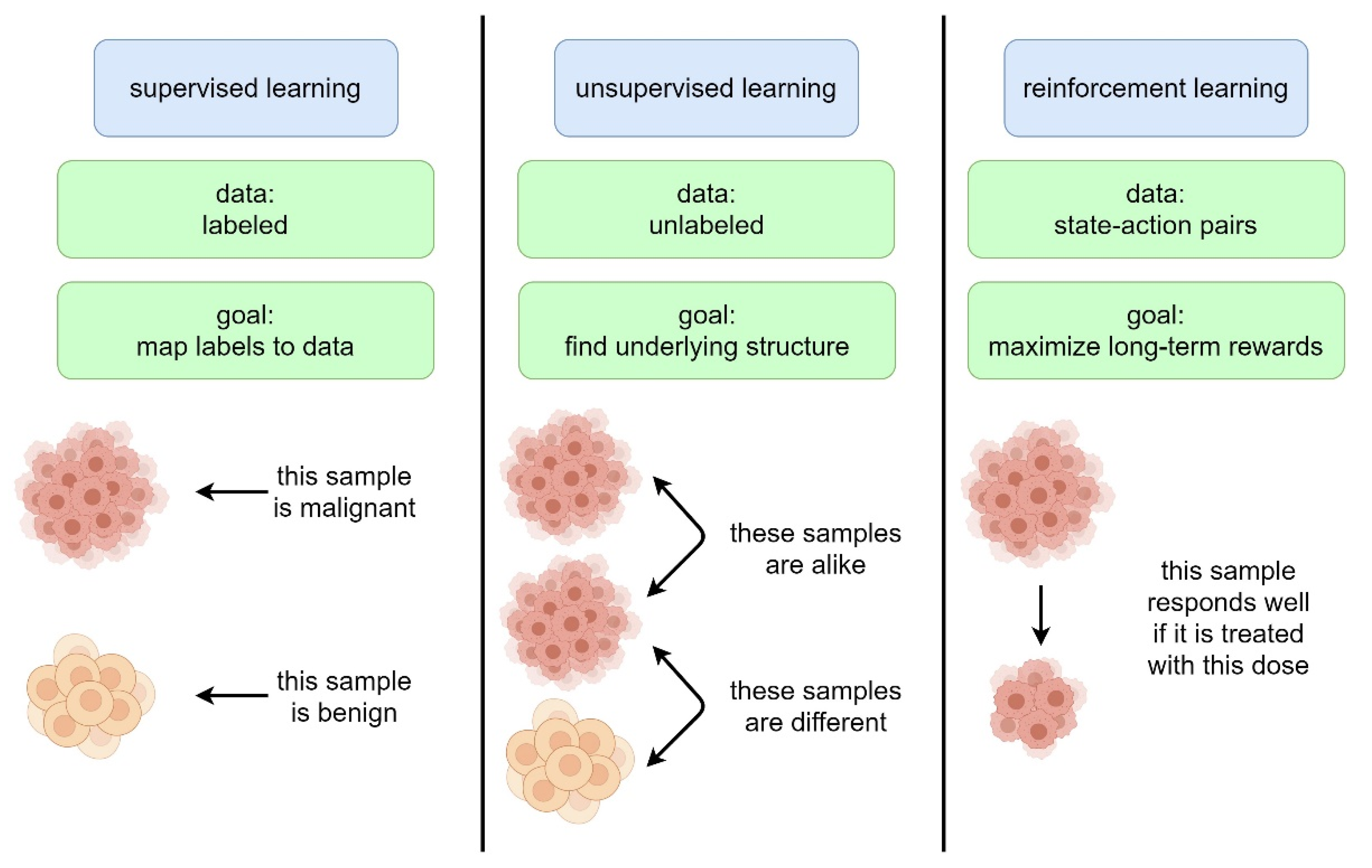 Cancers 13 04624 g001