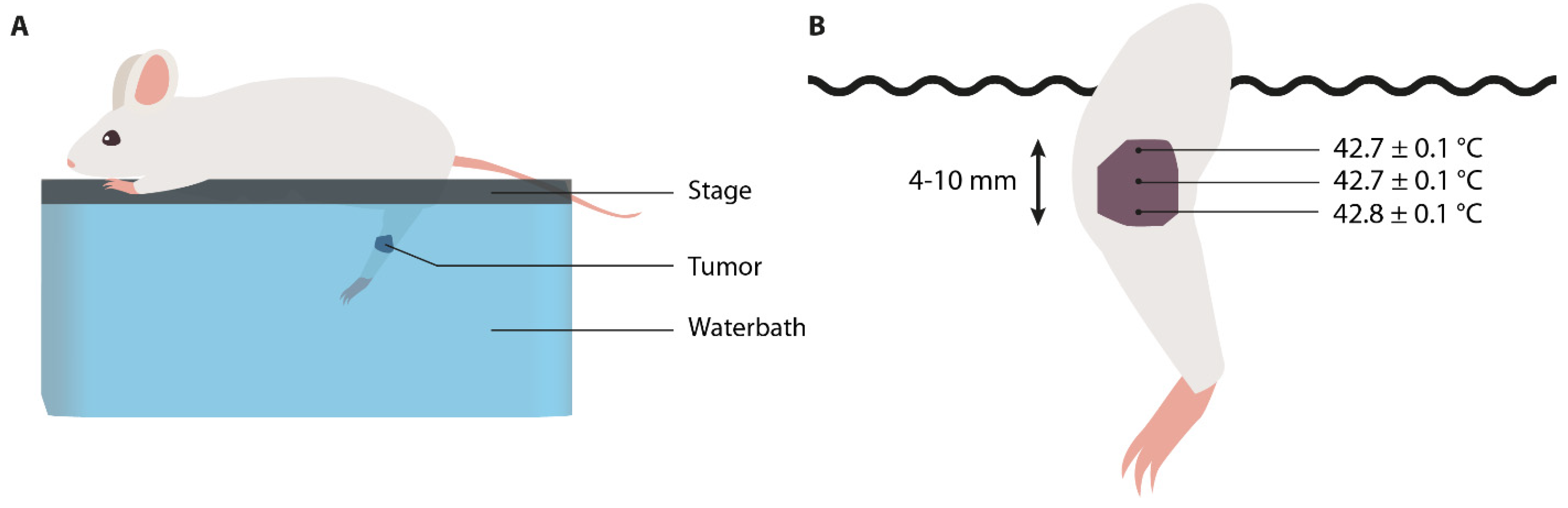 Cancers 13 04628 g002