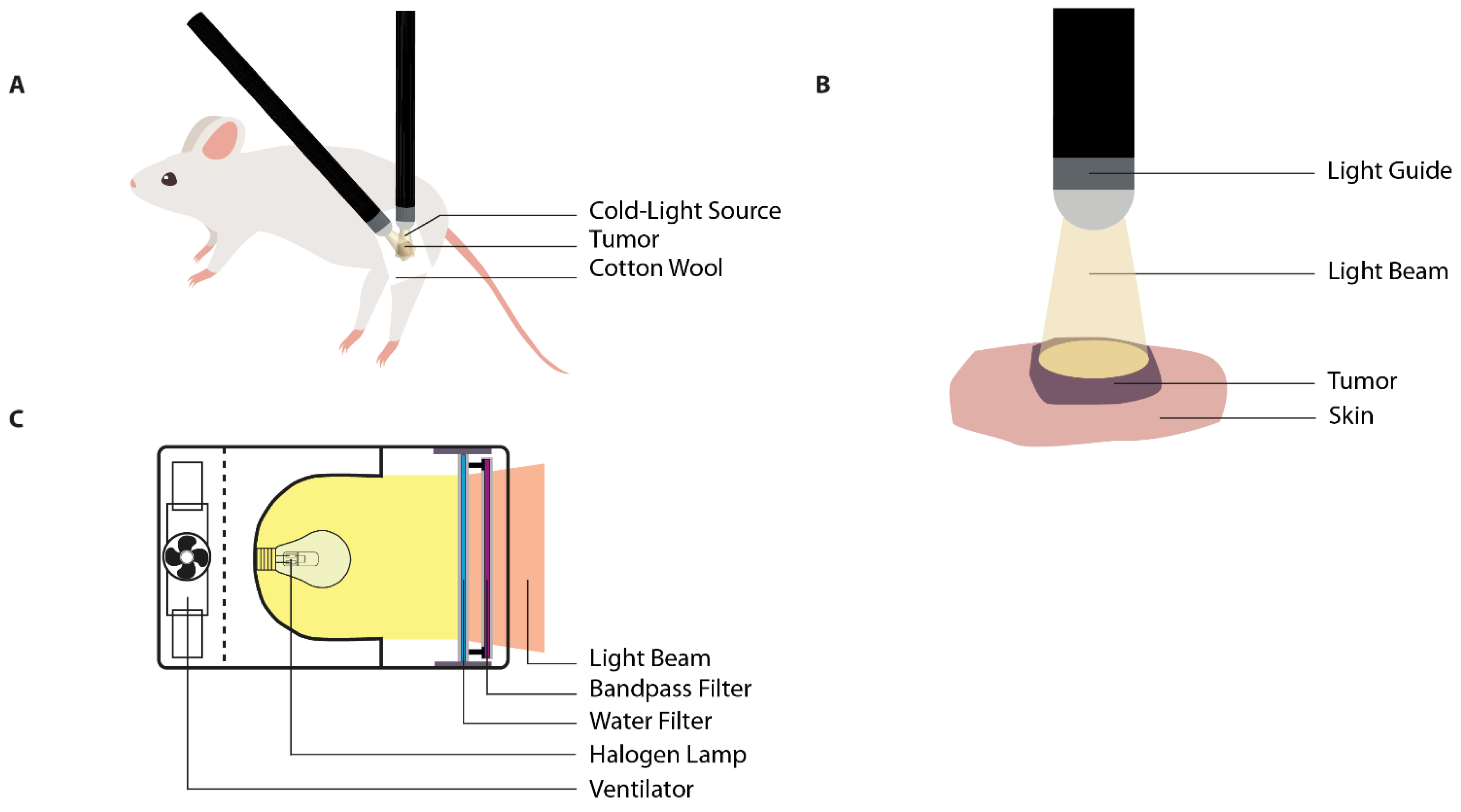Cancers 13 04628 g003