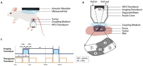 Cancers 13 04628 g005