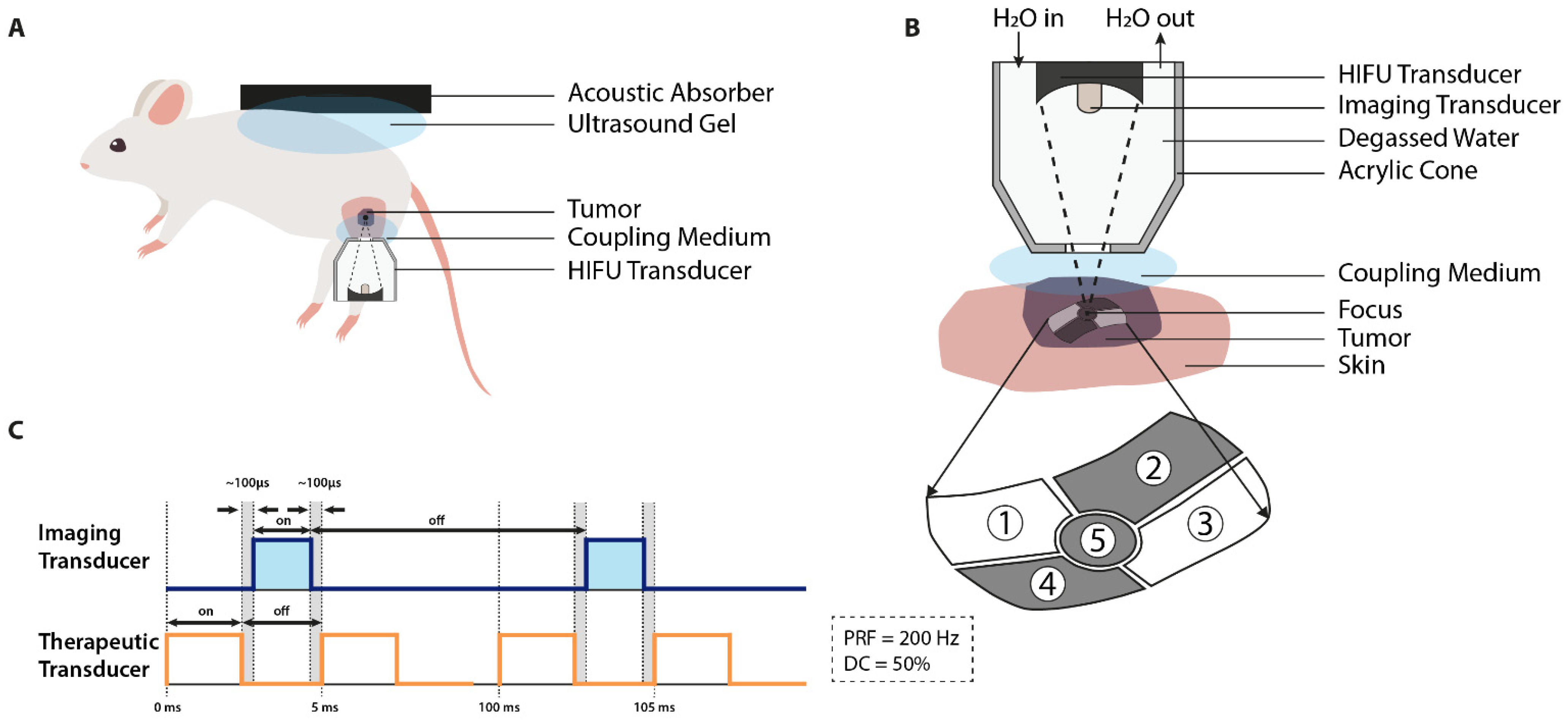Cancers 13 04628 g005