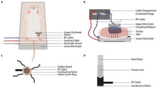 Cancers 13 04628 g006