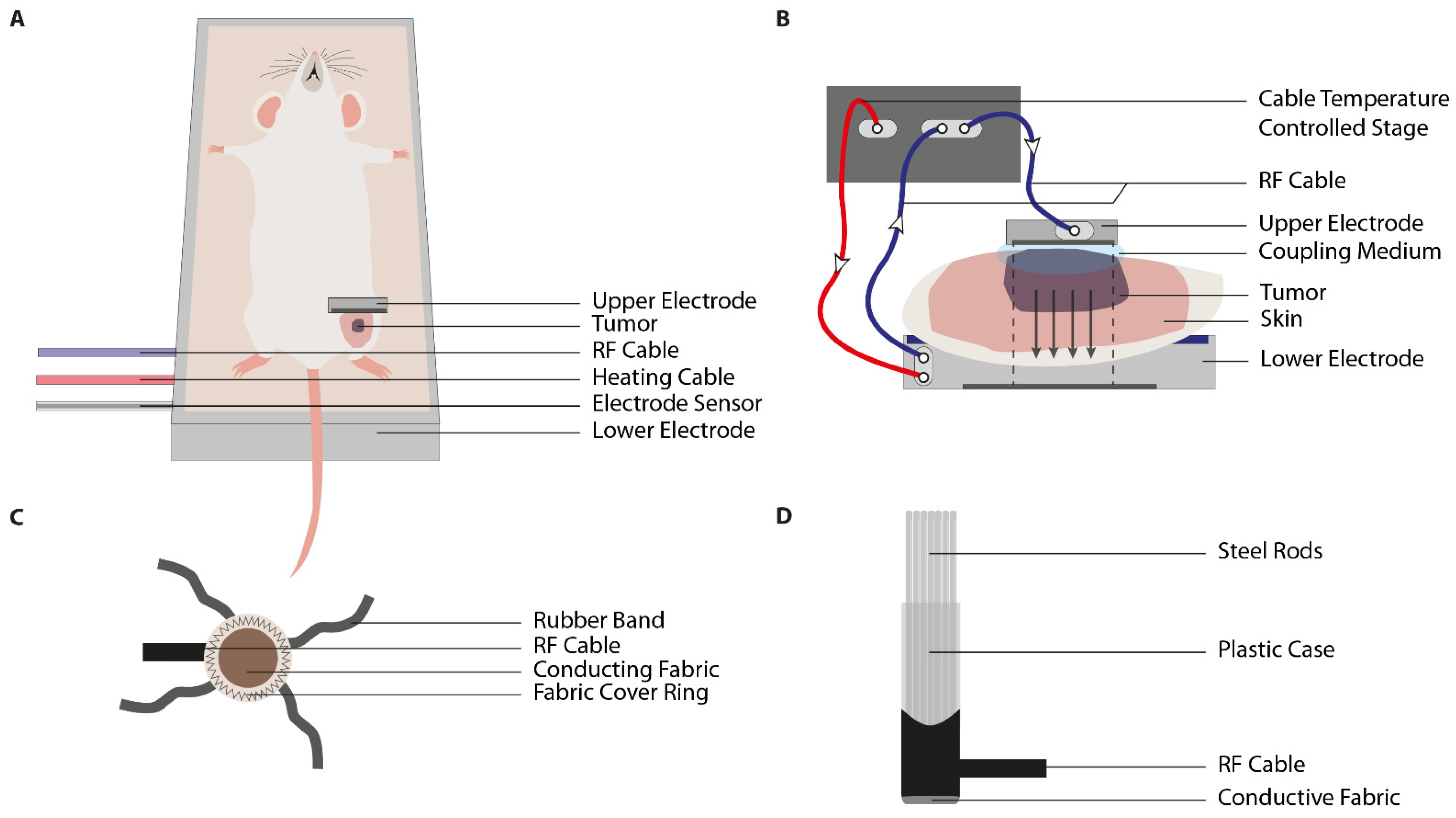 Cancers 13 04628 g006