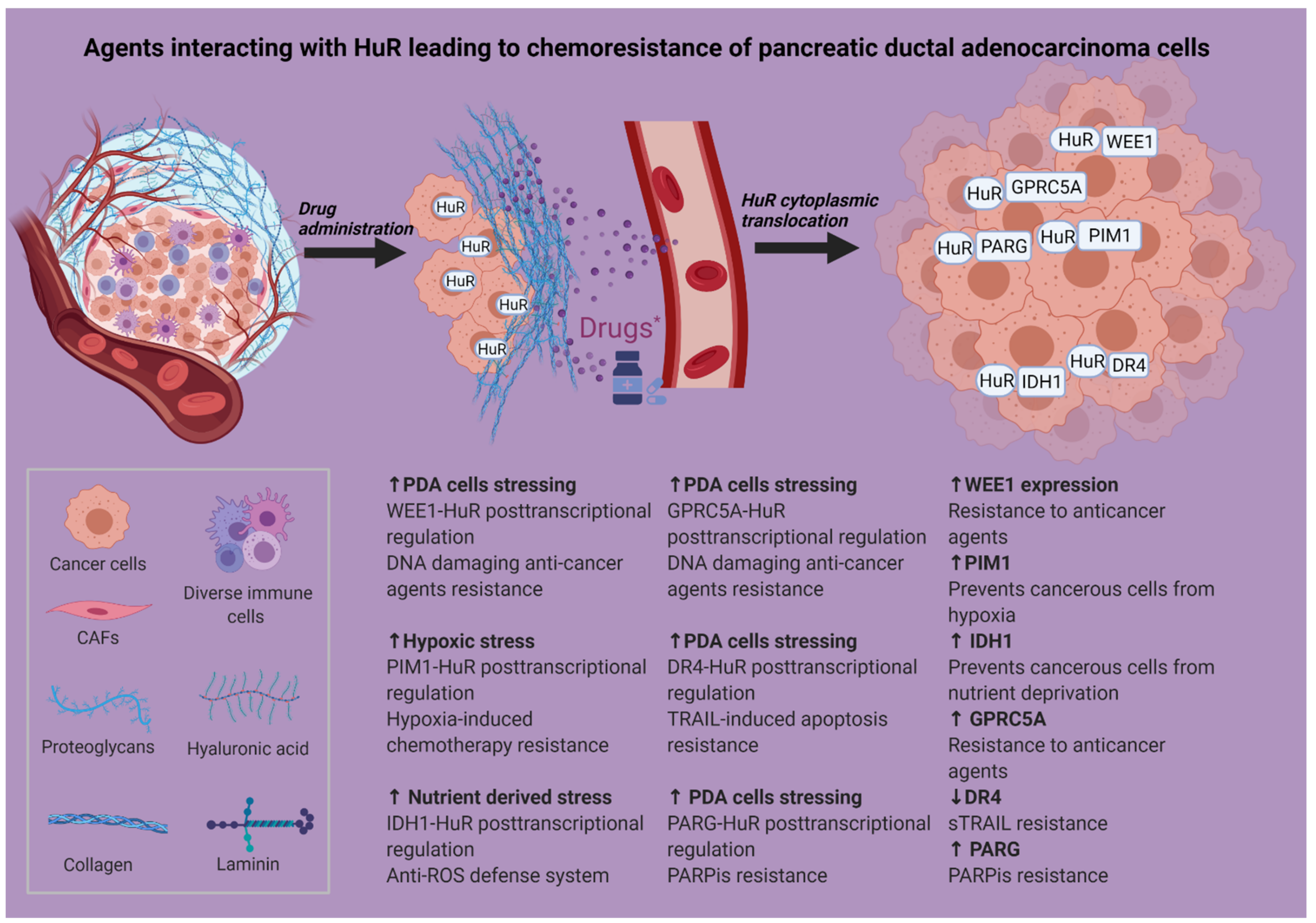 Cancers 13 04634 g002