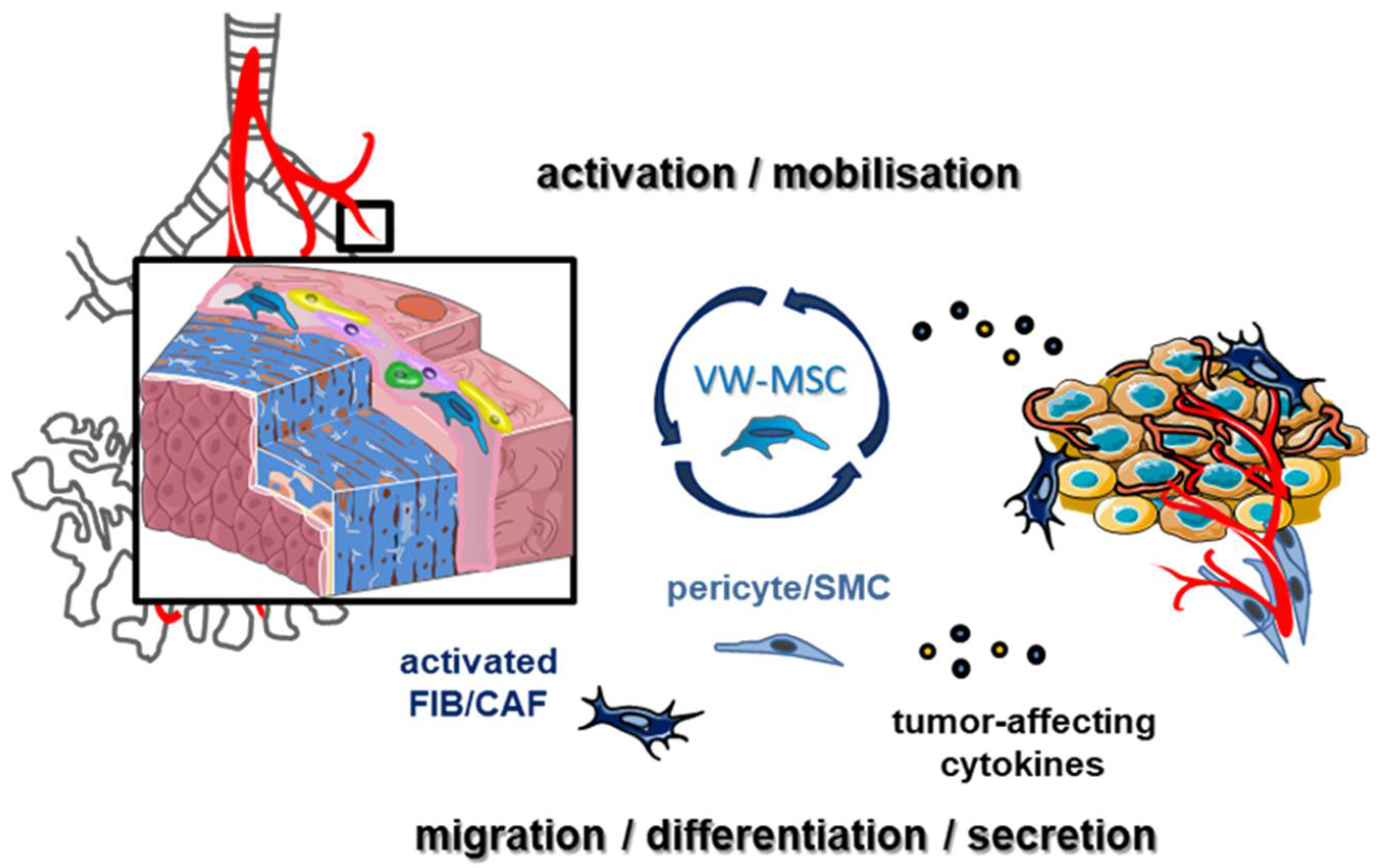 Cancers 13 04637 g001