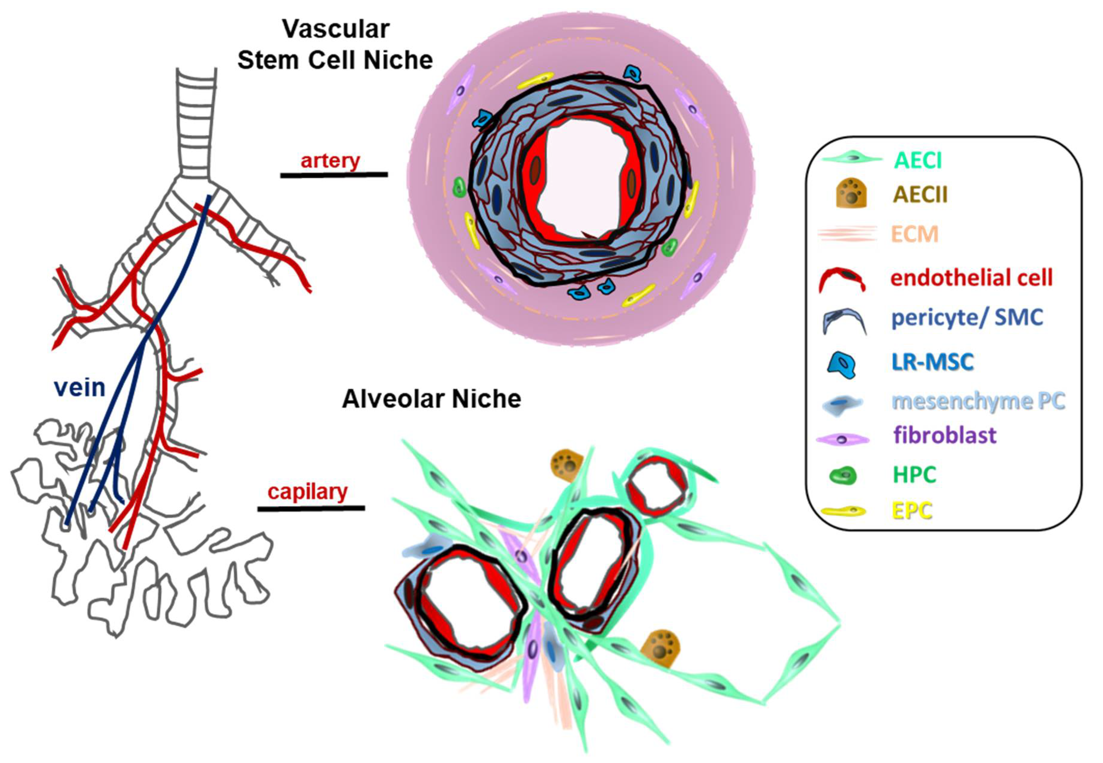 Cancers 13 04637 g002