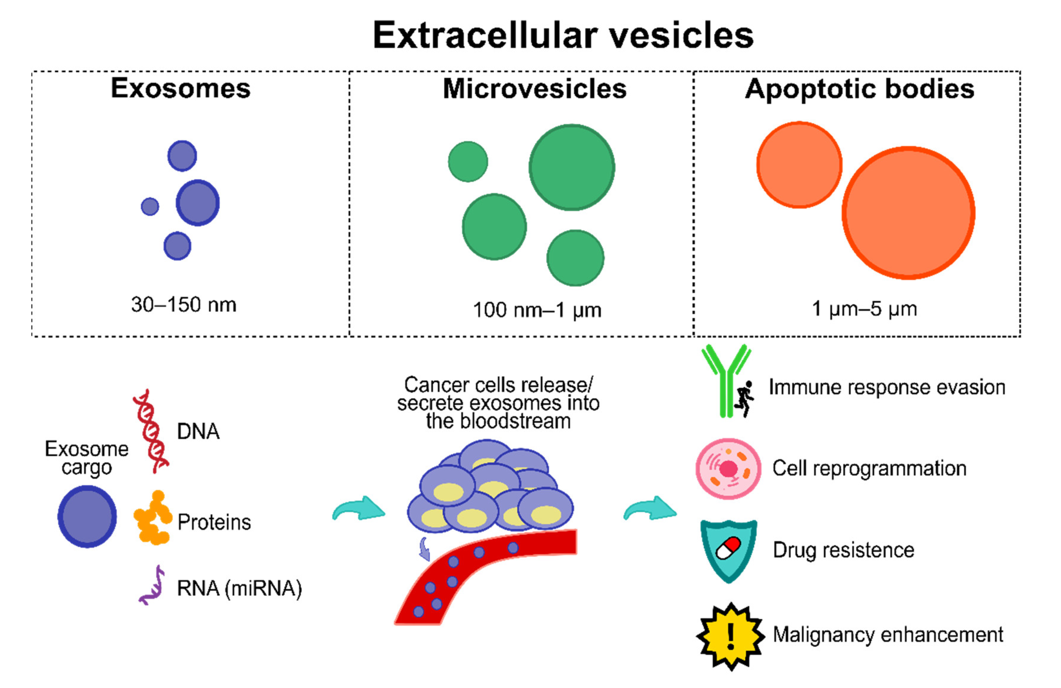 Cancers 13 04640 g002
