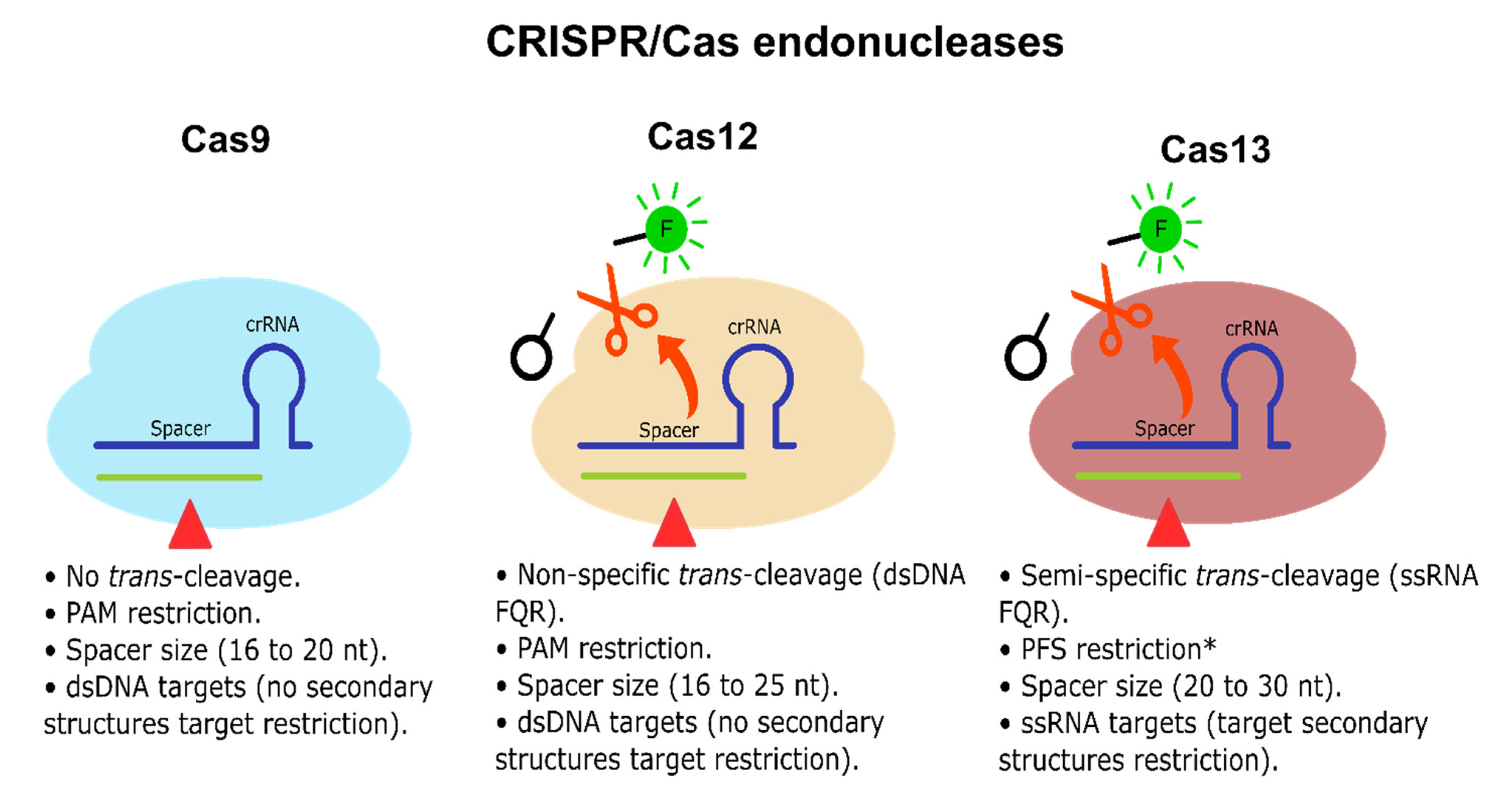 Cancers 13 04640 g003