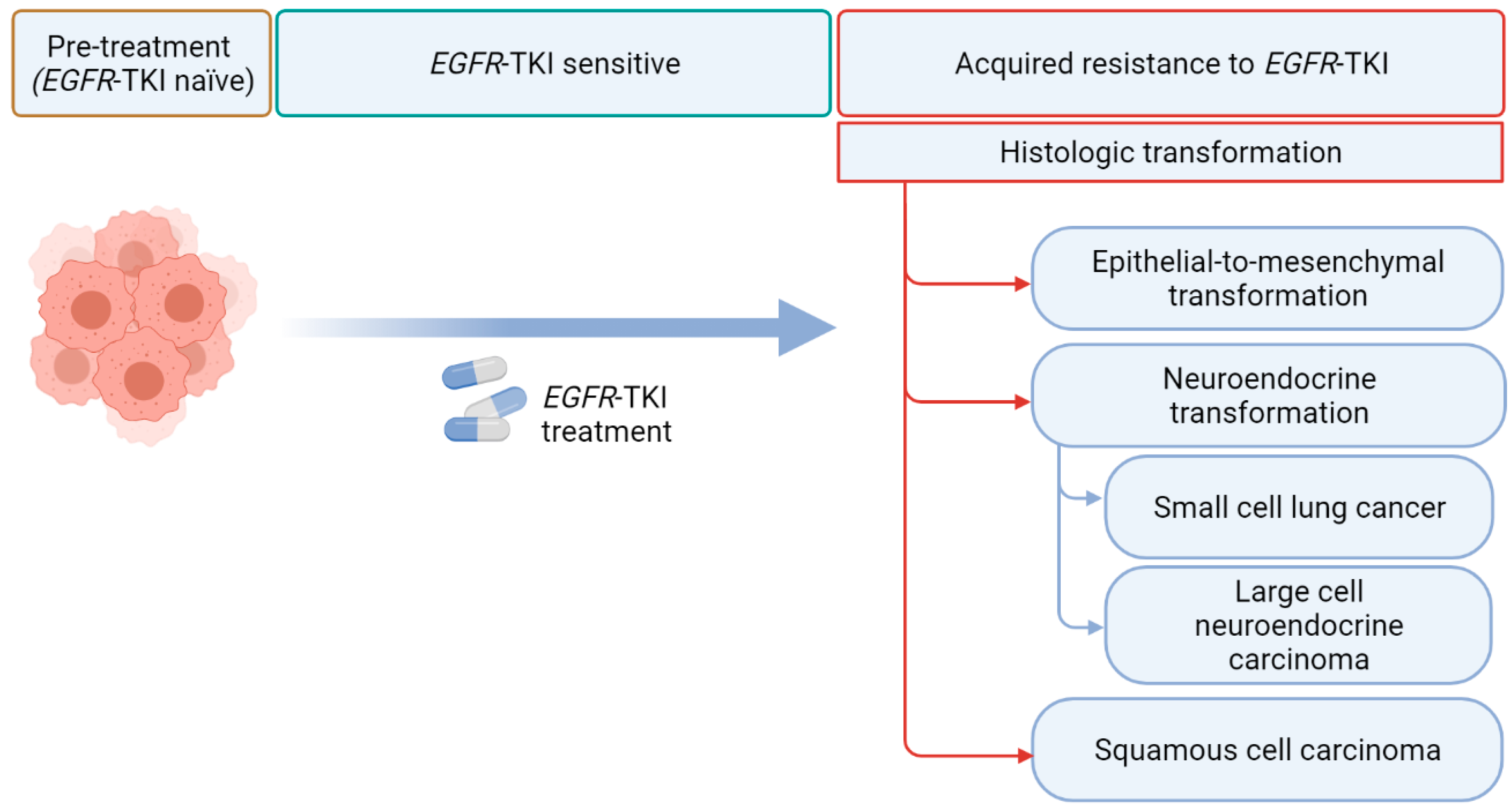 Cancers 13 04641 g001
