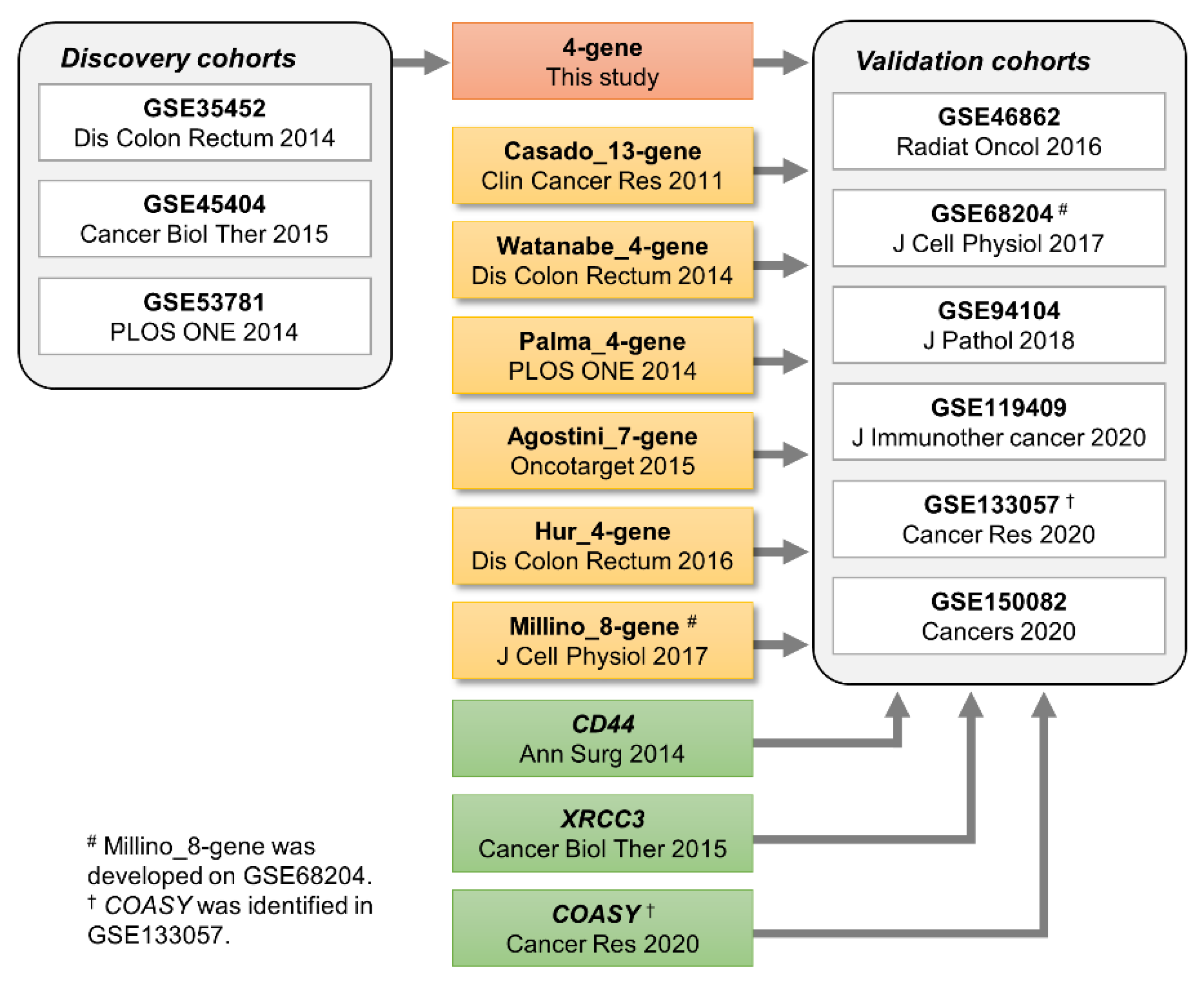 Cancers 13 04642 g001