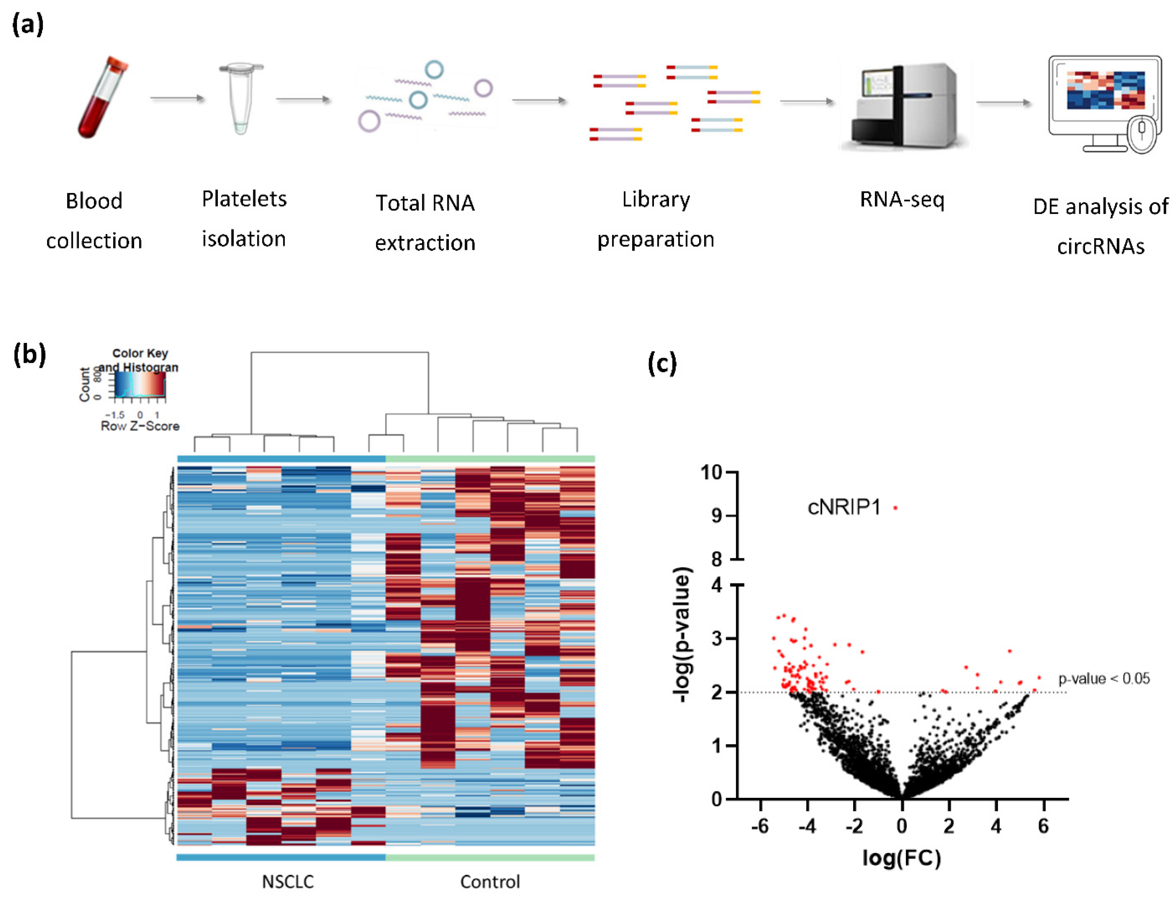 Cancers 13 04644 g001
